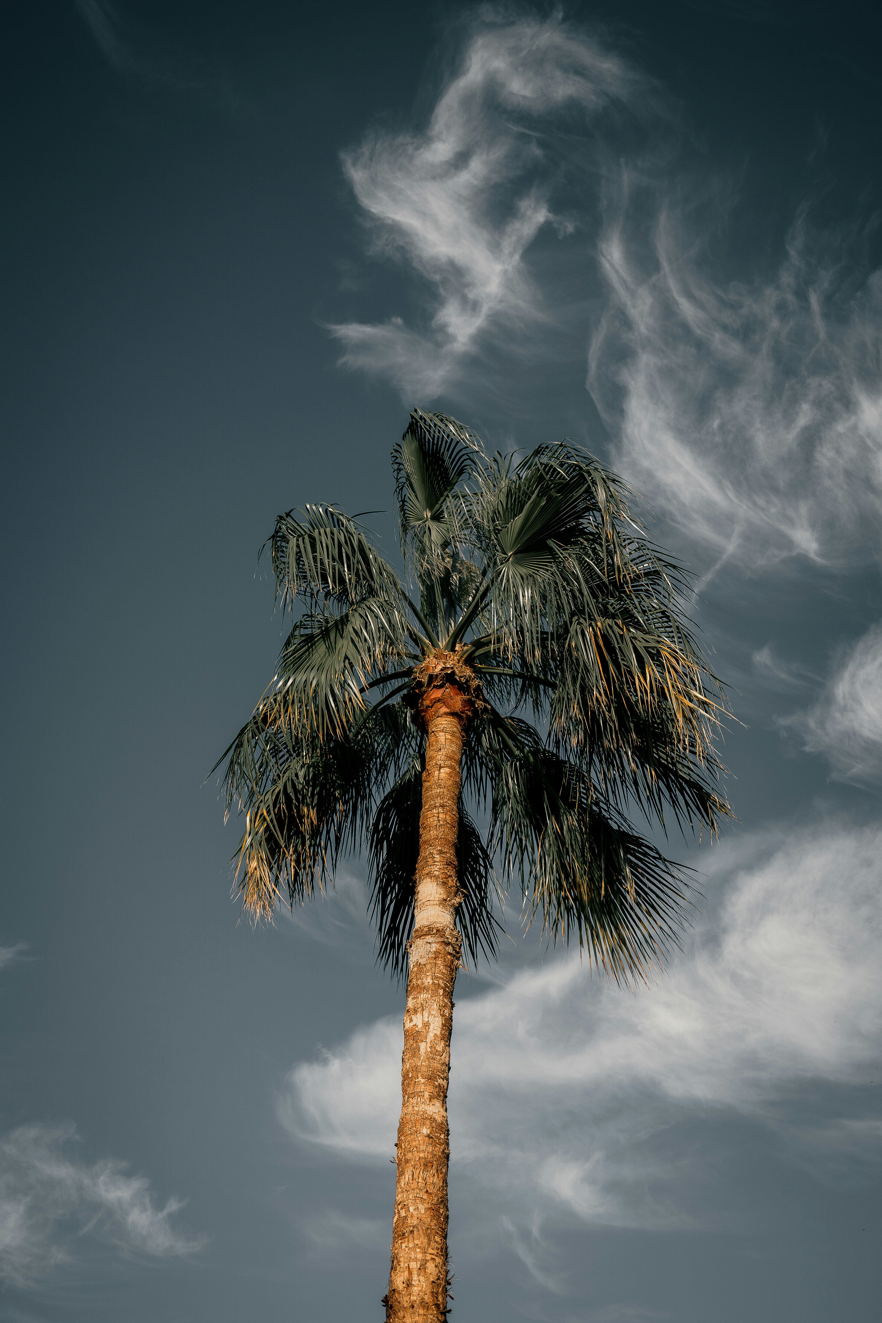 Photo by joseph_recca