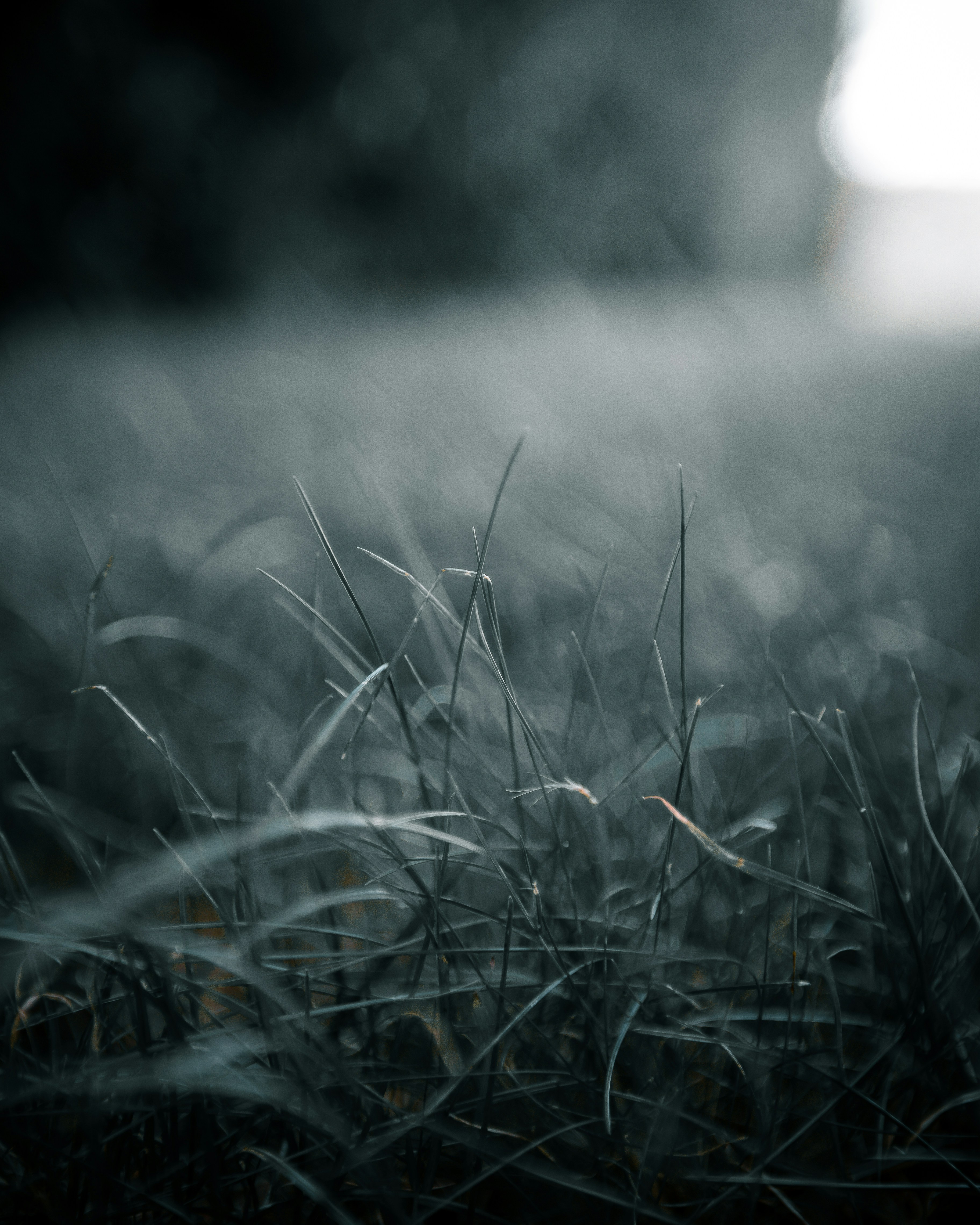 Photo by joseph_recca