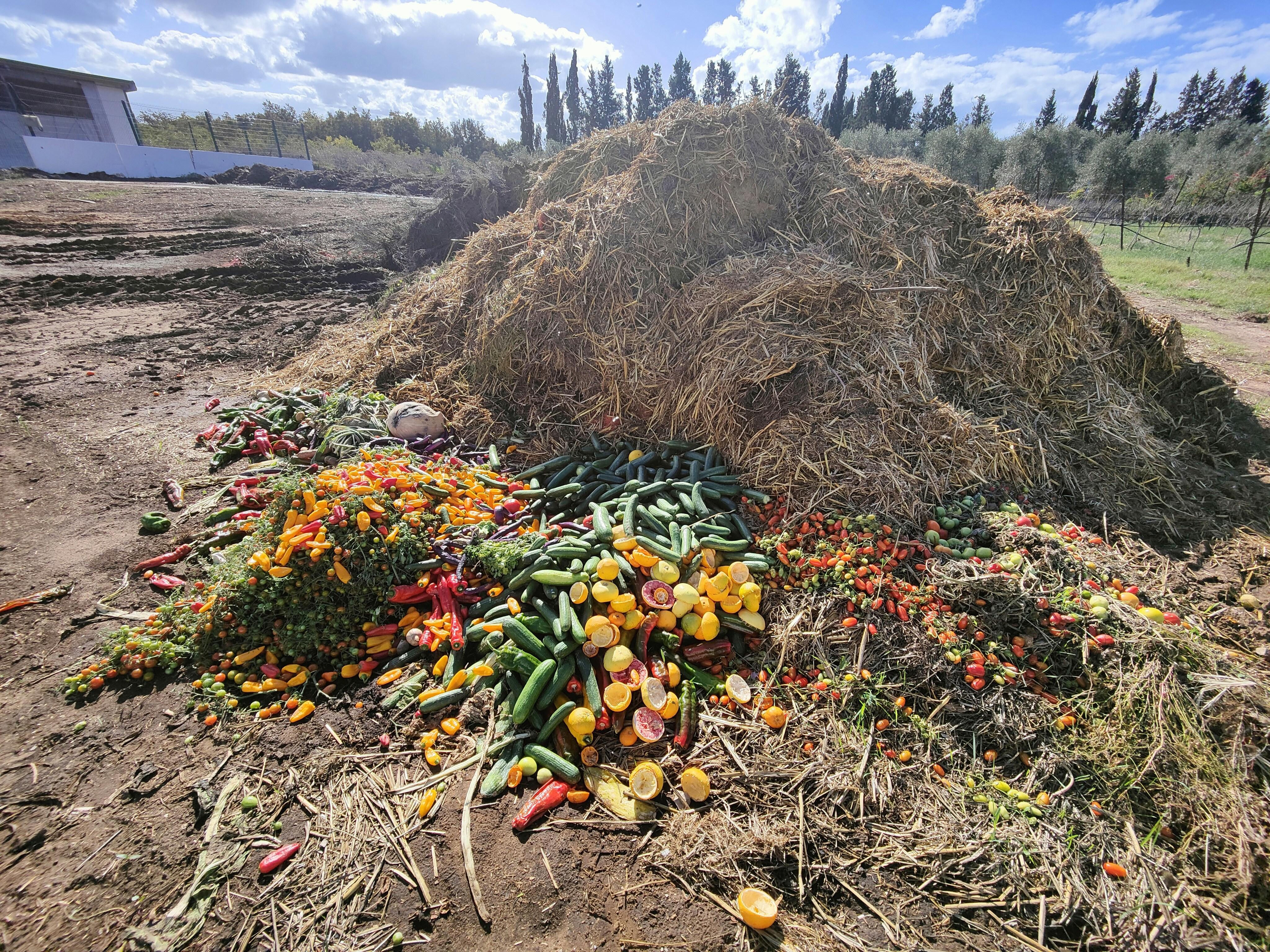 Modern composting facility with organized waste processing equipment and green vegetation
