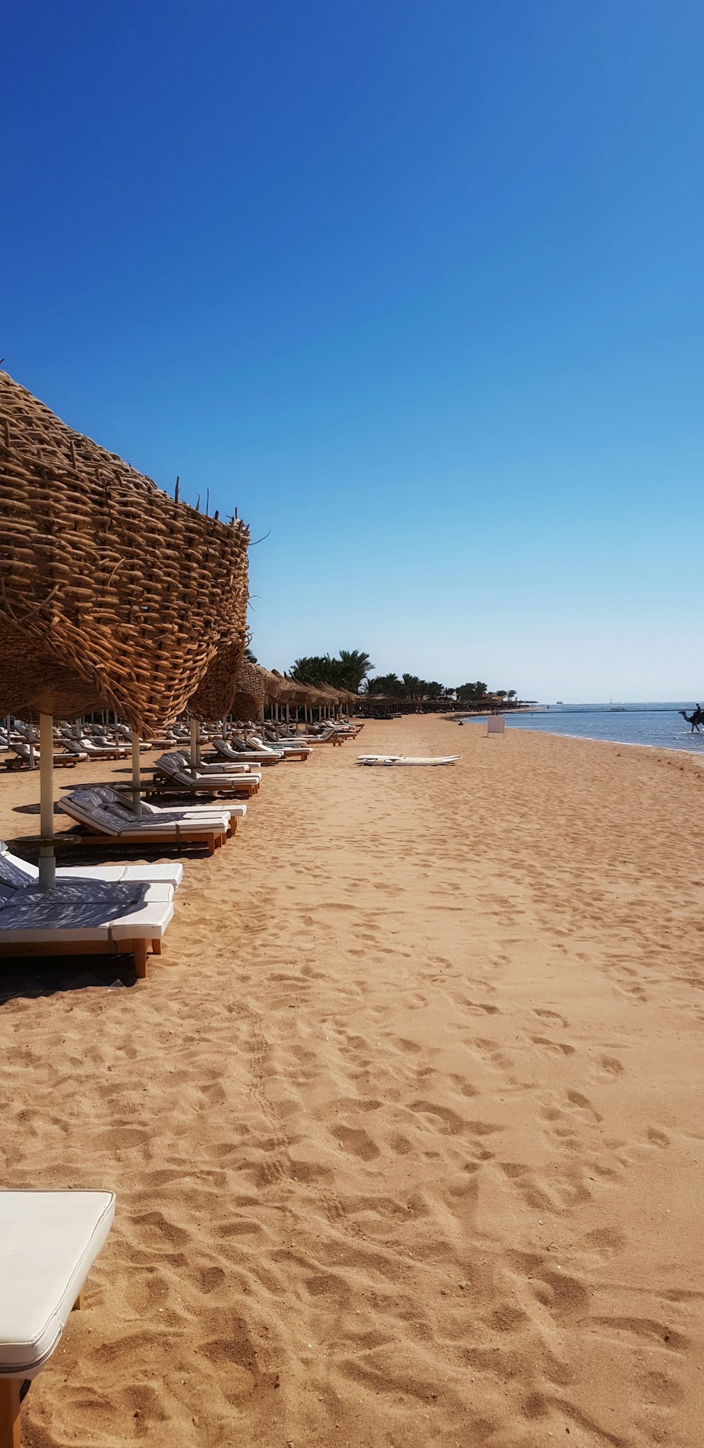 a row of lounge chairs sitting on top of a sandy beach