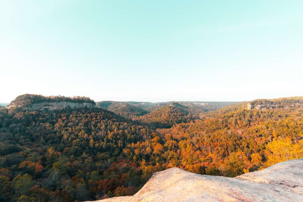 a scenic view of a valley with trees in the background