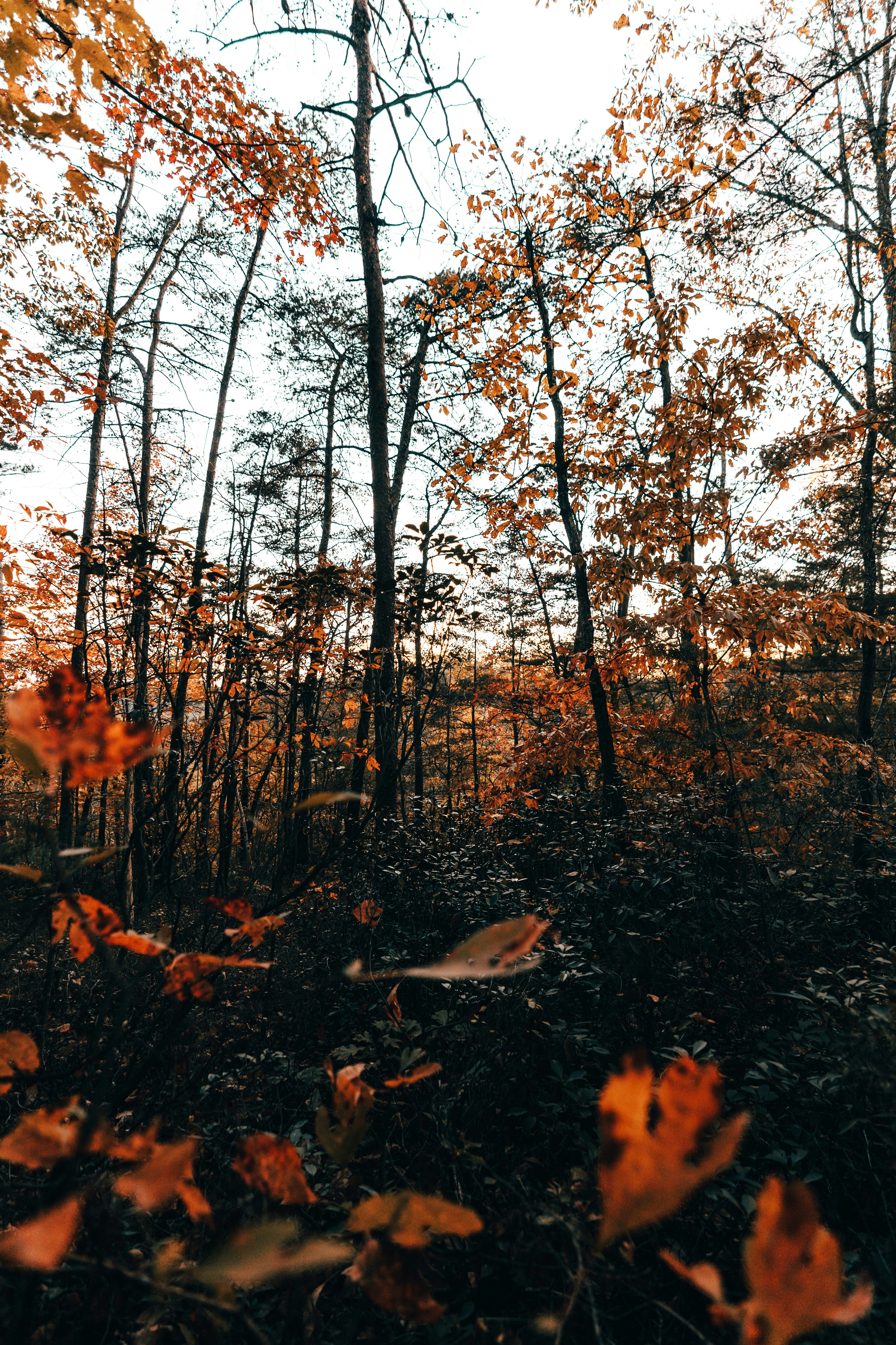 Photo by haroldwainwright