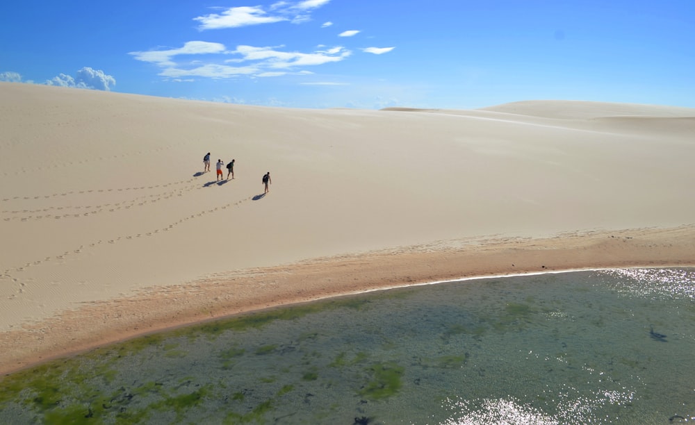 Un grupo de personas caminando por una playa de arena