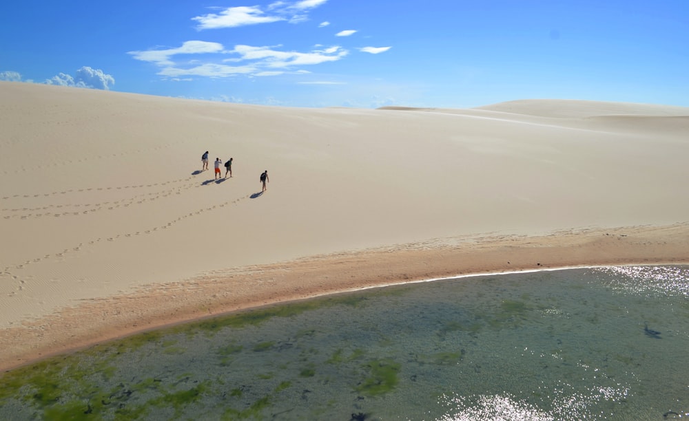 a group of people walking across a sandy beach