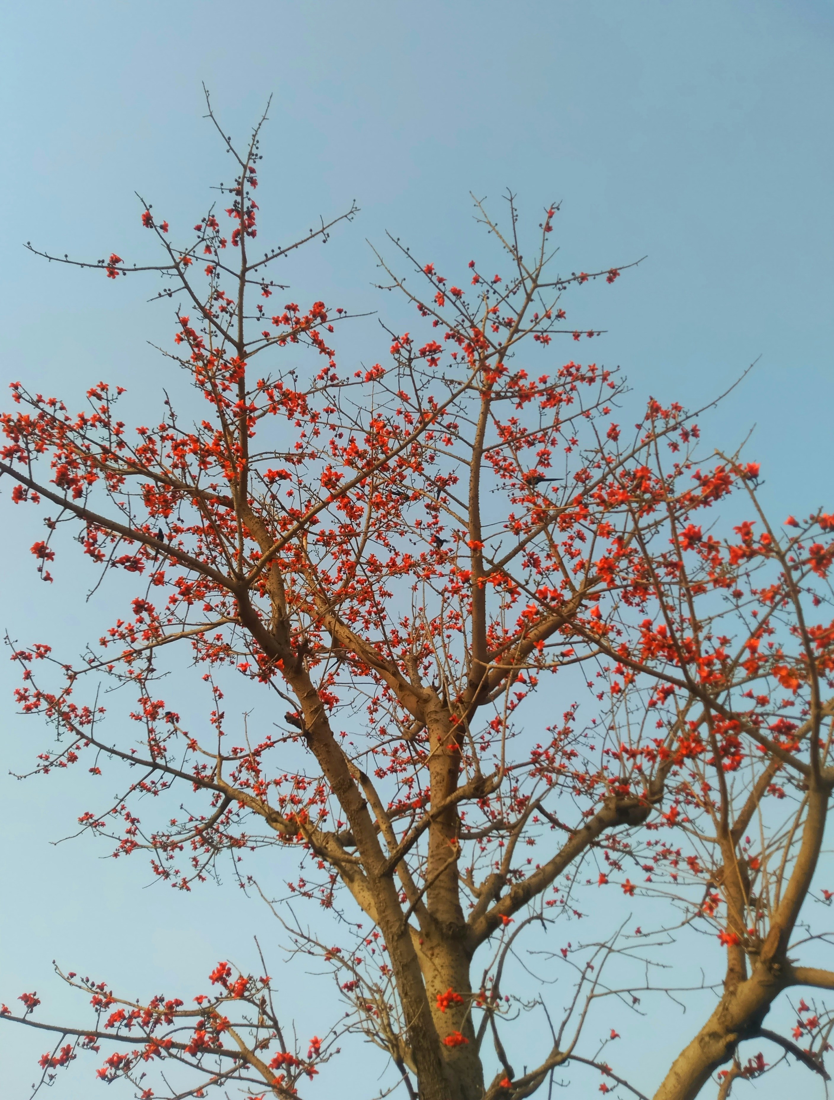 Photo by alpha_breed