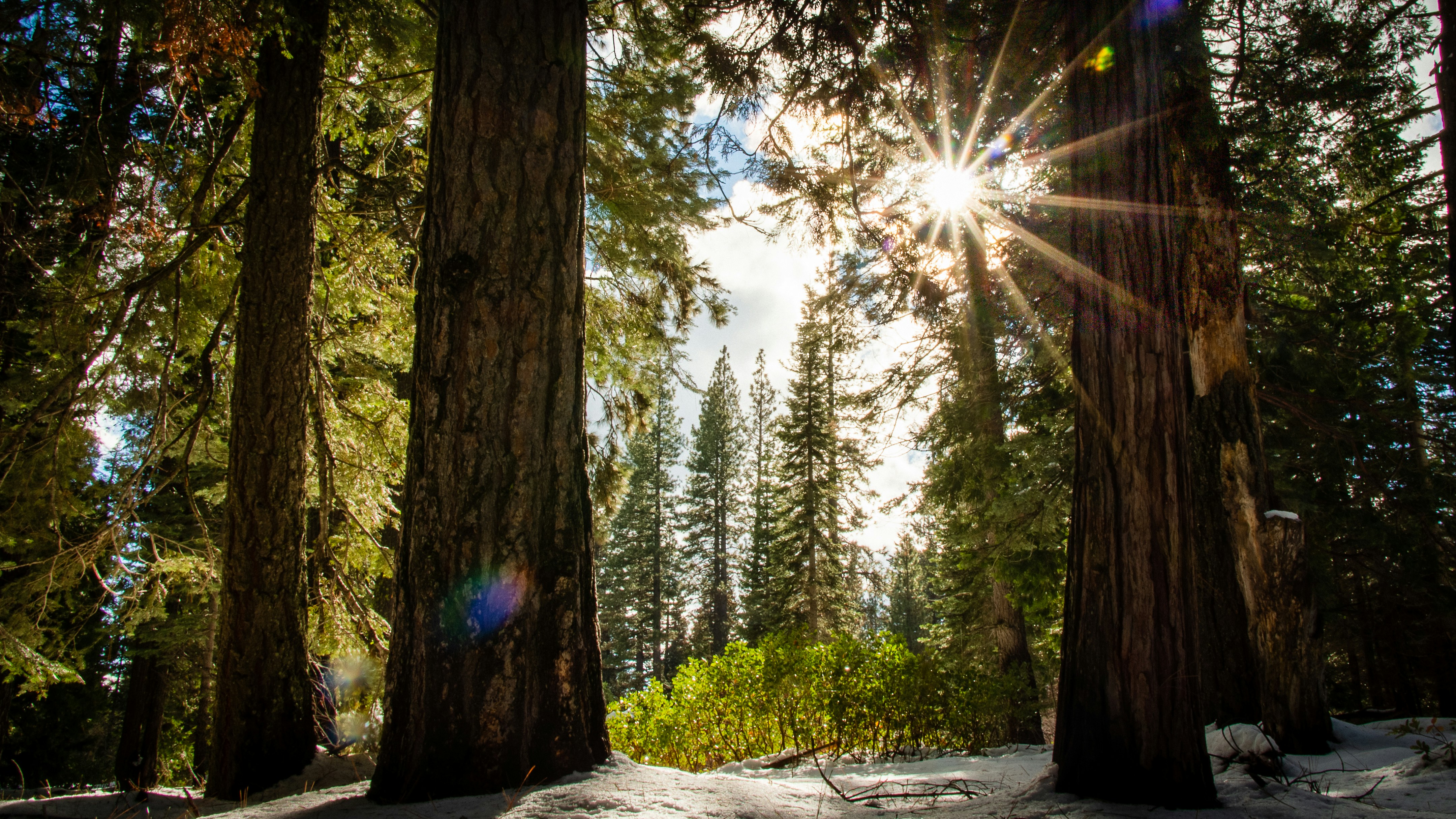 Photo by flyingviking_studios