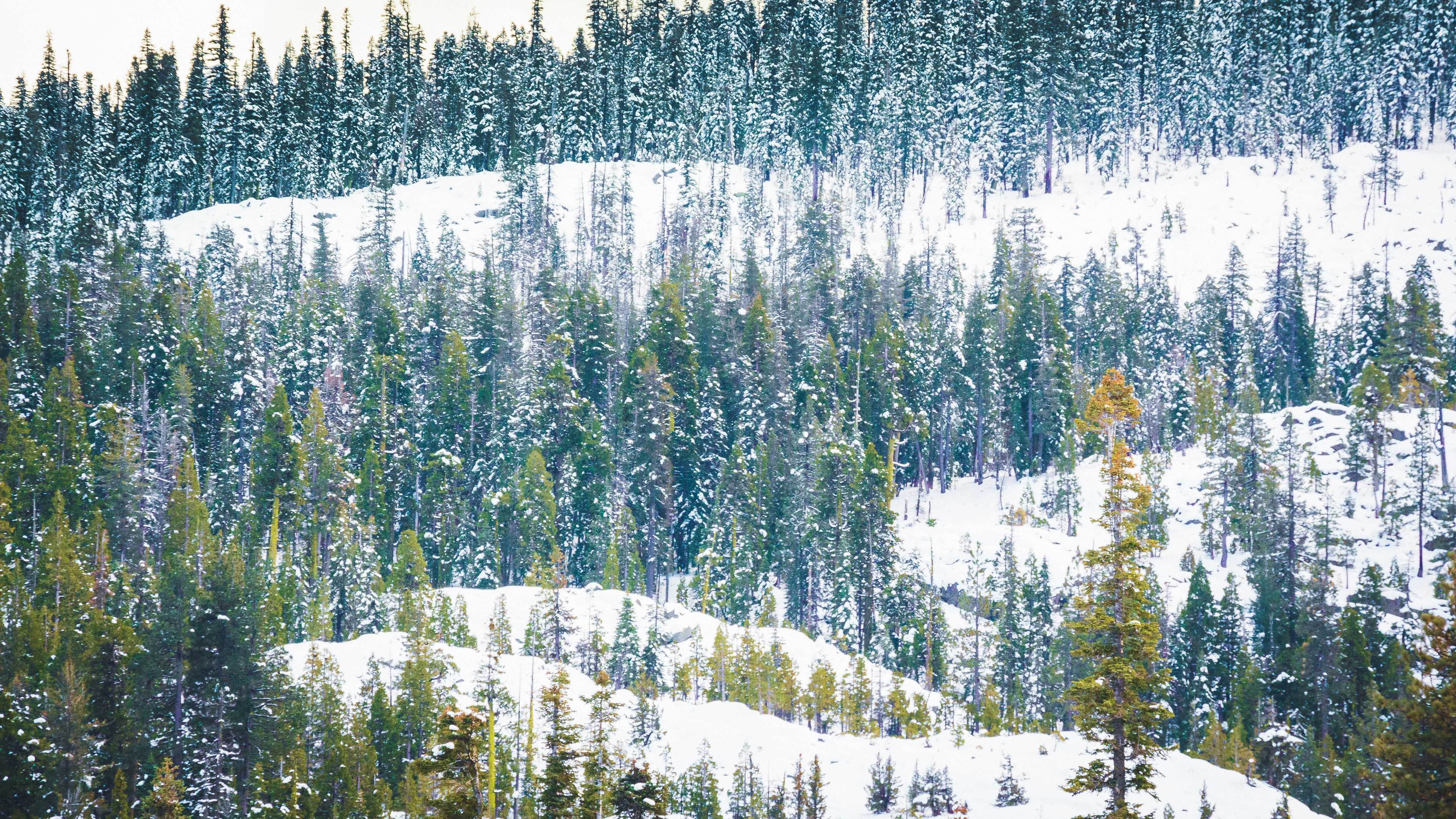 Photo by flyingviking_studios