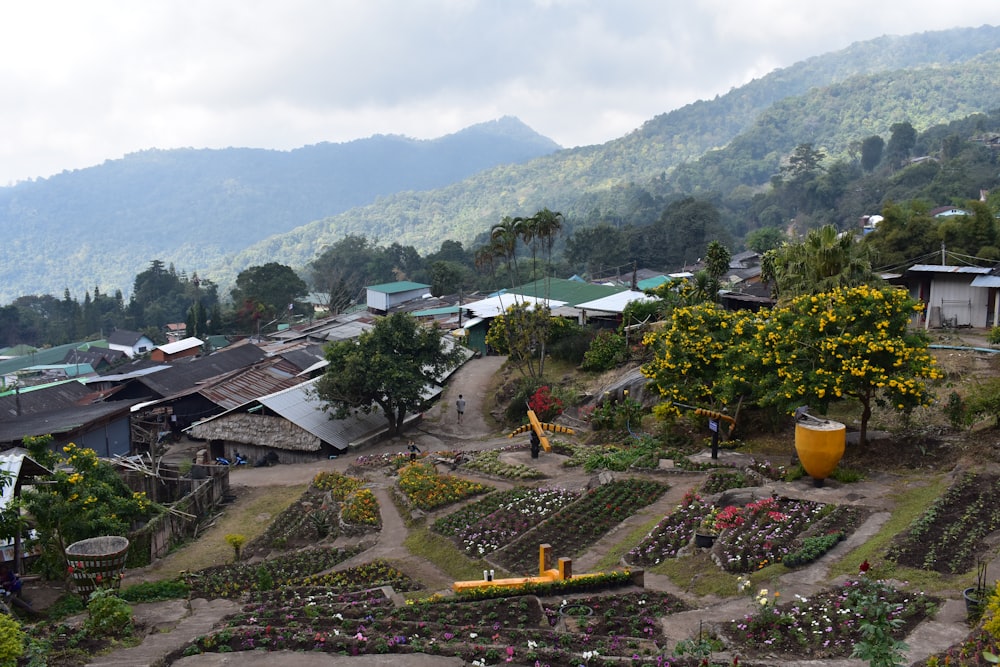 a village with a lot of trees and flowers