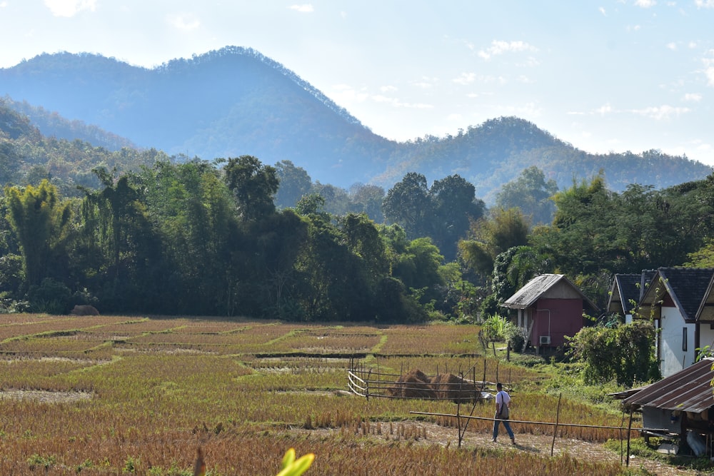 a person standing in a field with mountains in the background