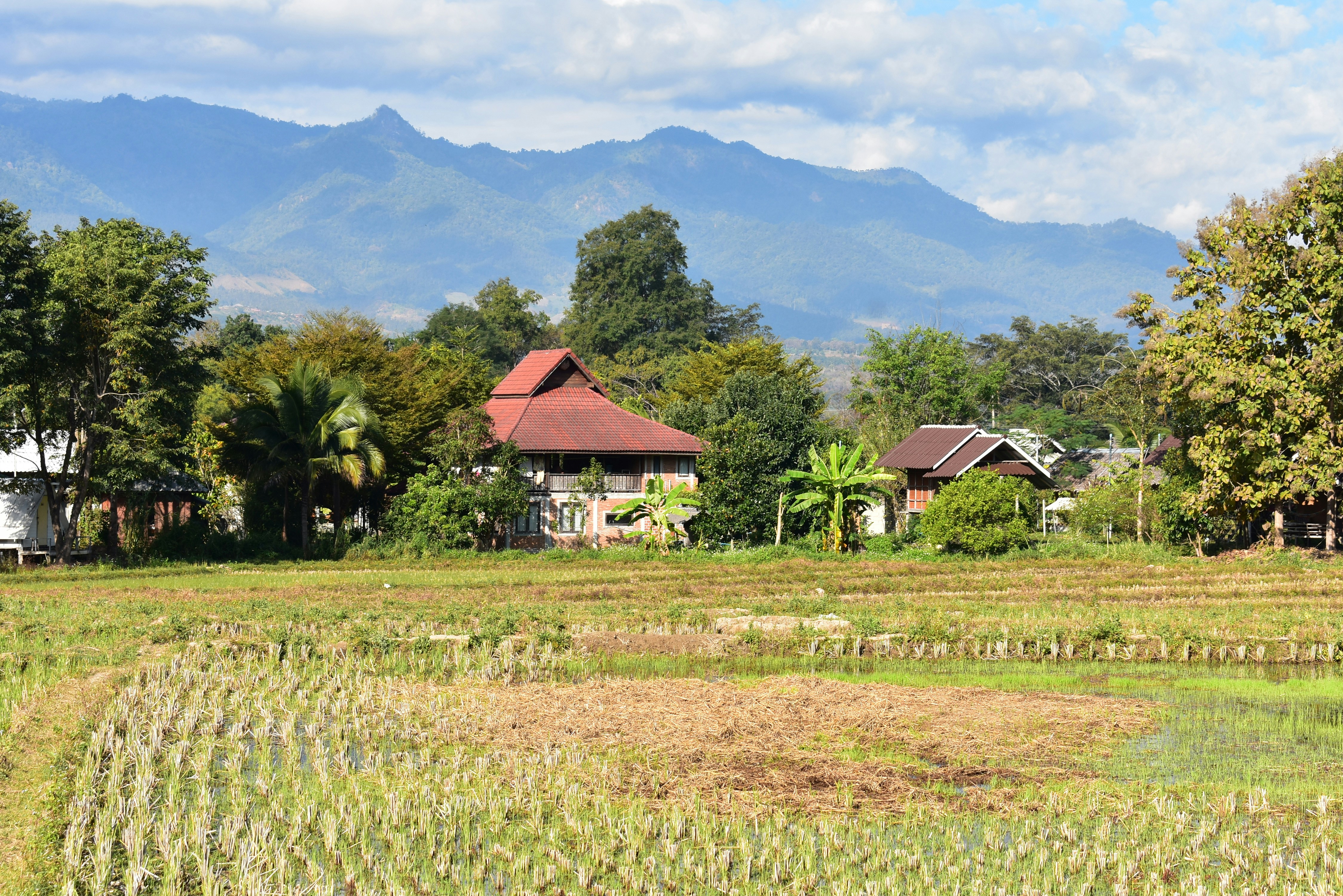 photo-1642038985876-d549839098a9?ixid=M3wxMjA3fDB8MXxzZWFyY2h8N3x8YW1iYW5nJTIwc3VyaWElMjBsYW5kJTIwZm9yJTIwc2FsZXxlbnwwfHx8fDE3Njg2MTgzMzV8MA\u0026ixlib=rb-4.1.0