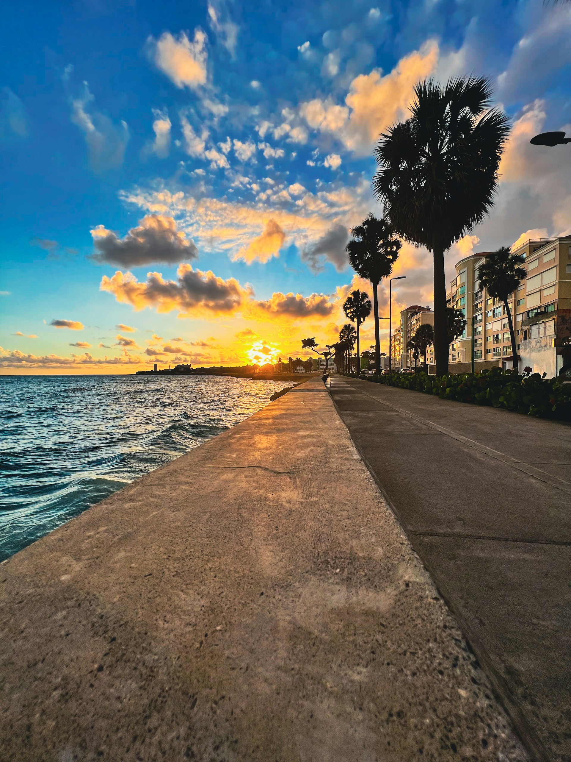 the sun is setting over the ocean with palm trees