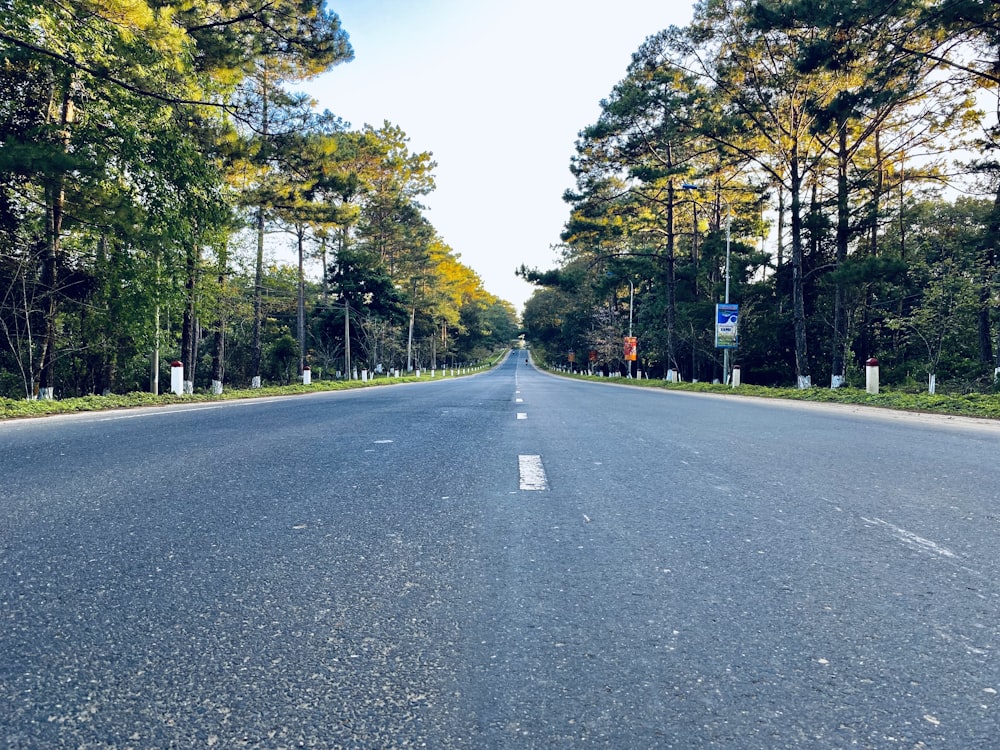 an empty road surrounded by trees in the middle of the day