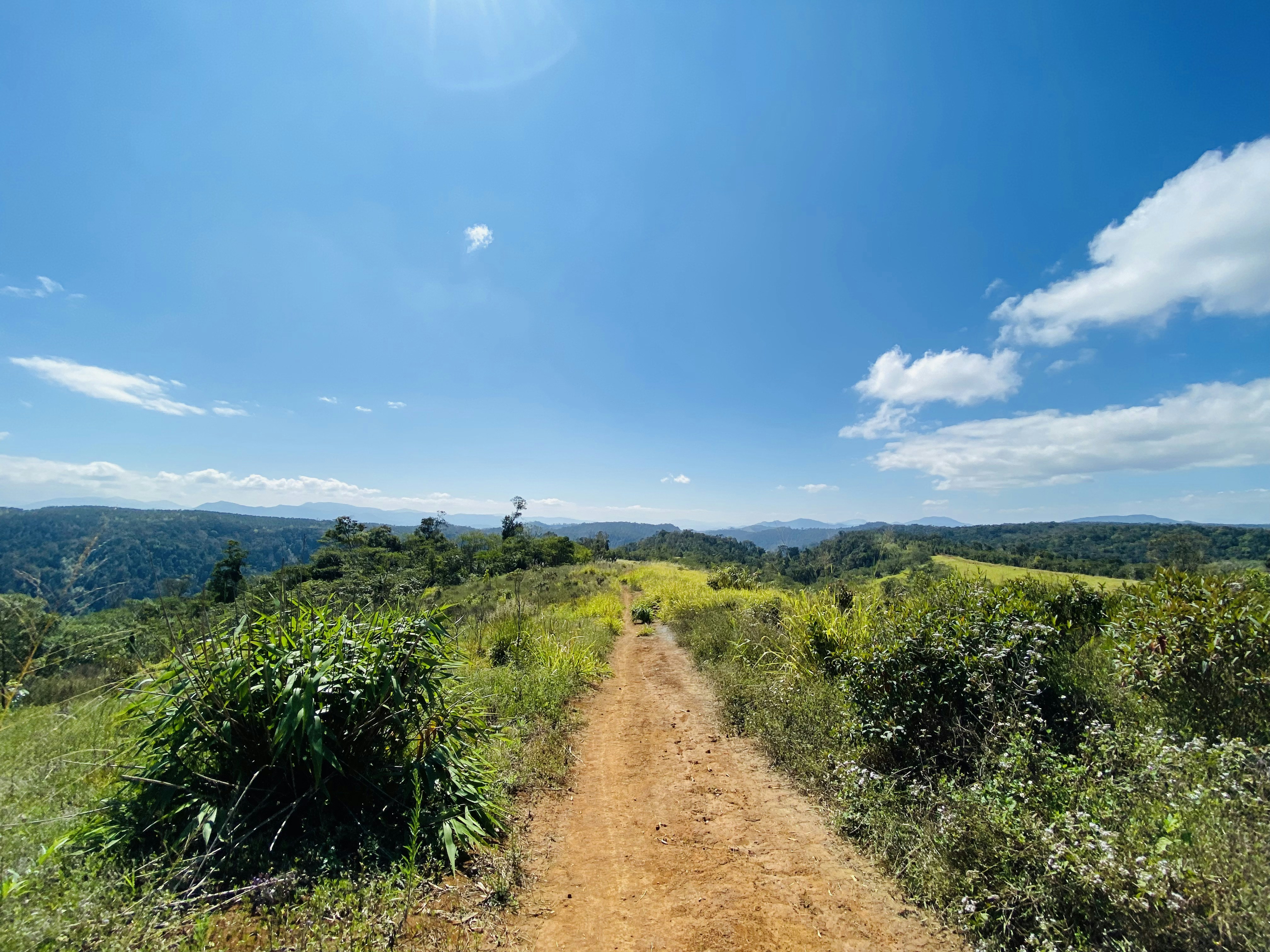 Photo by trantuannghia