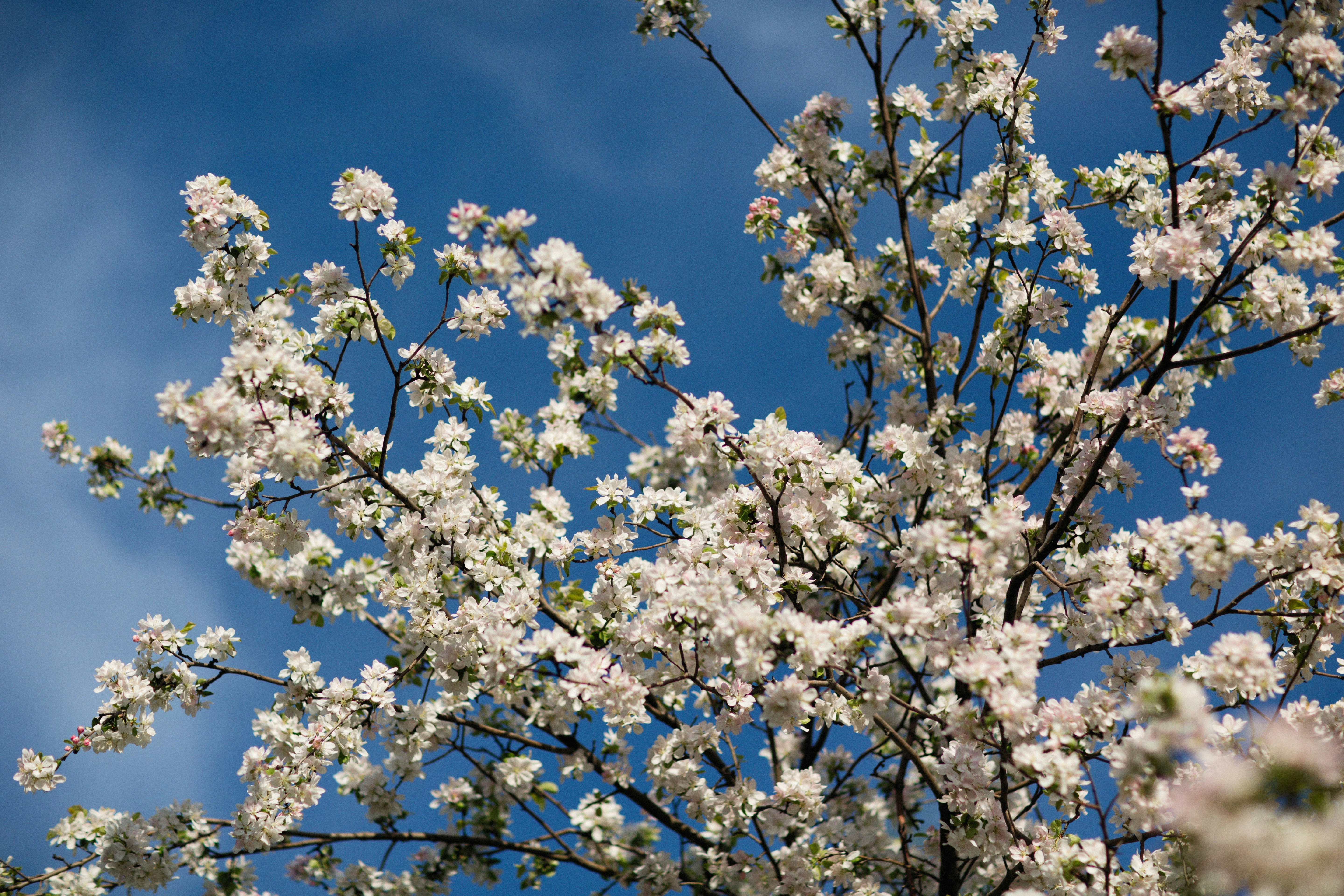 Photo by alexeydemidov