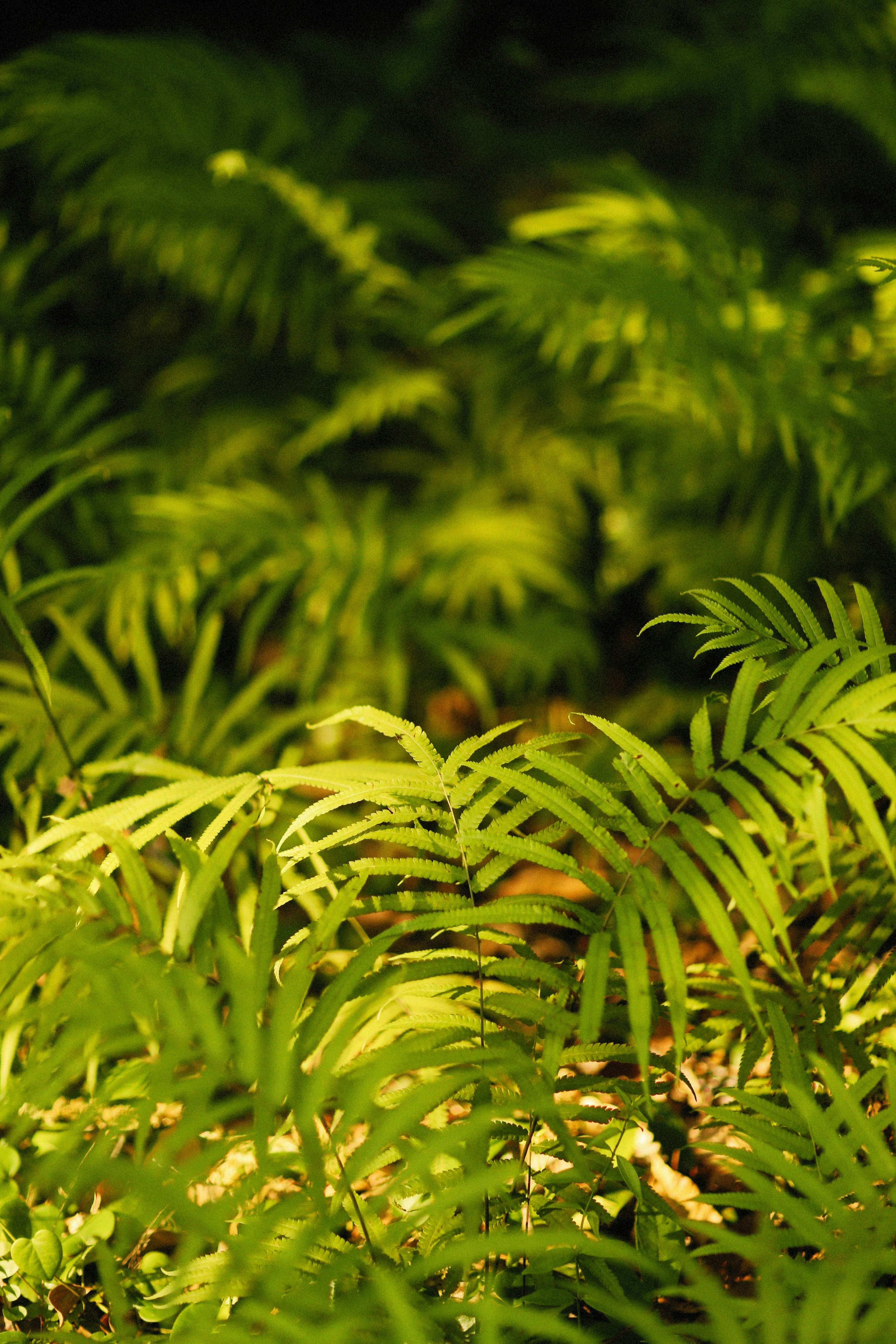 Photo by alexeydemidov