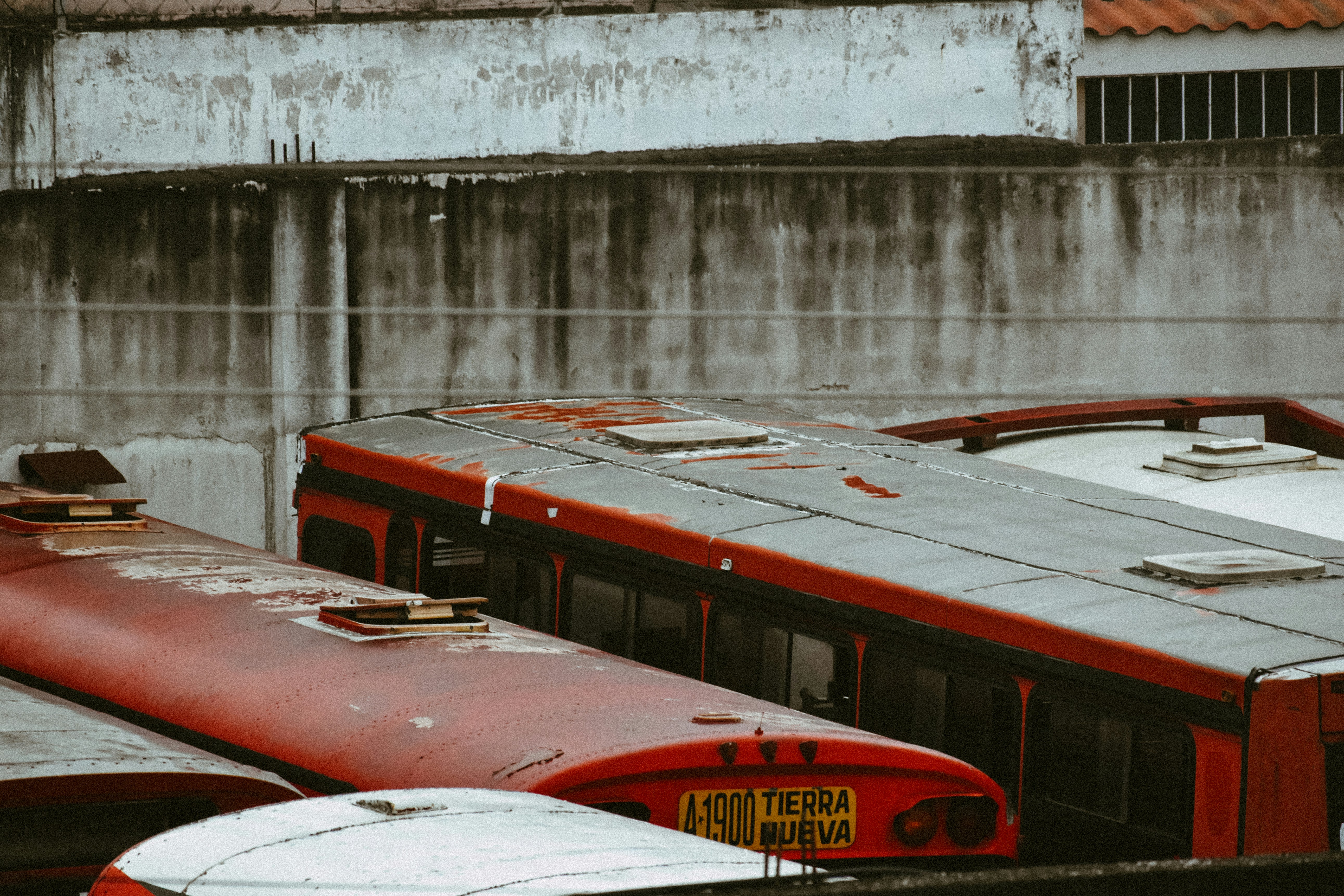 Photo by shutter_950