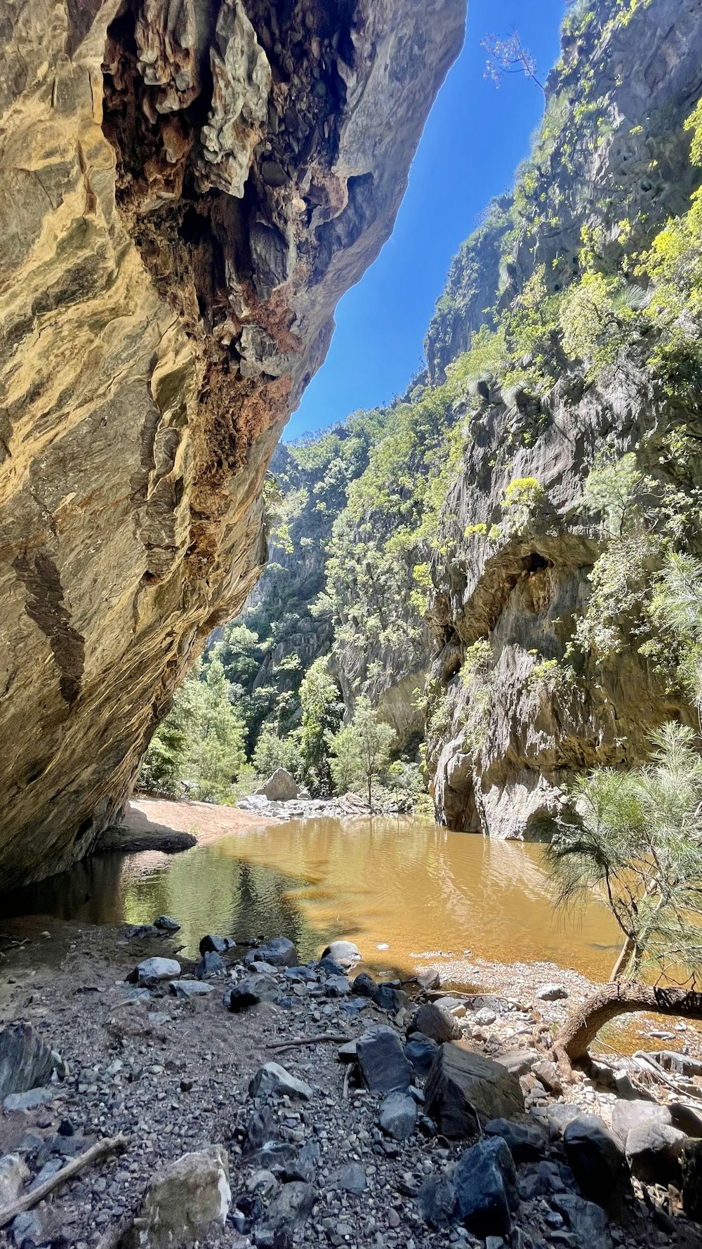 a river running through a canyon next to a mountain