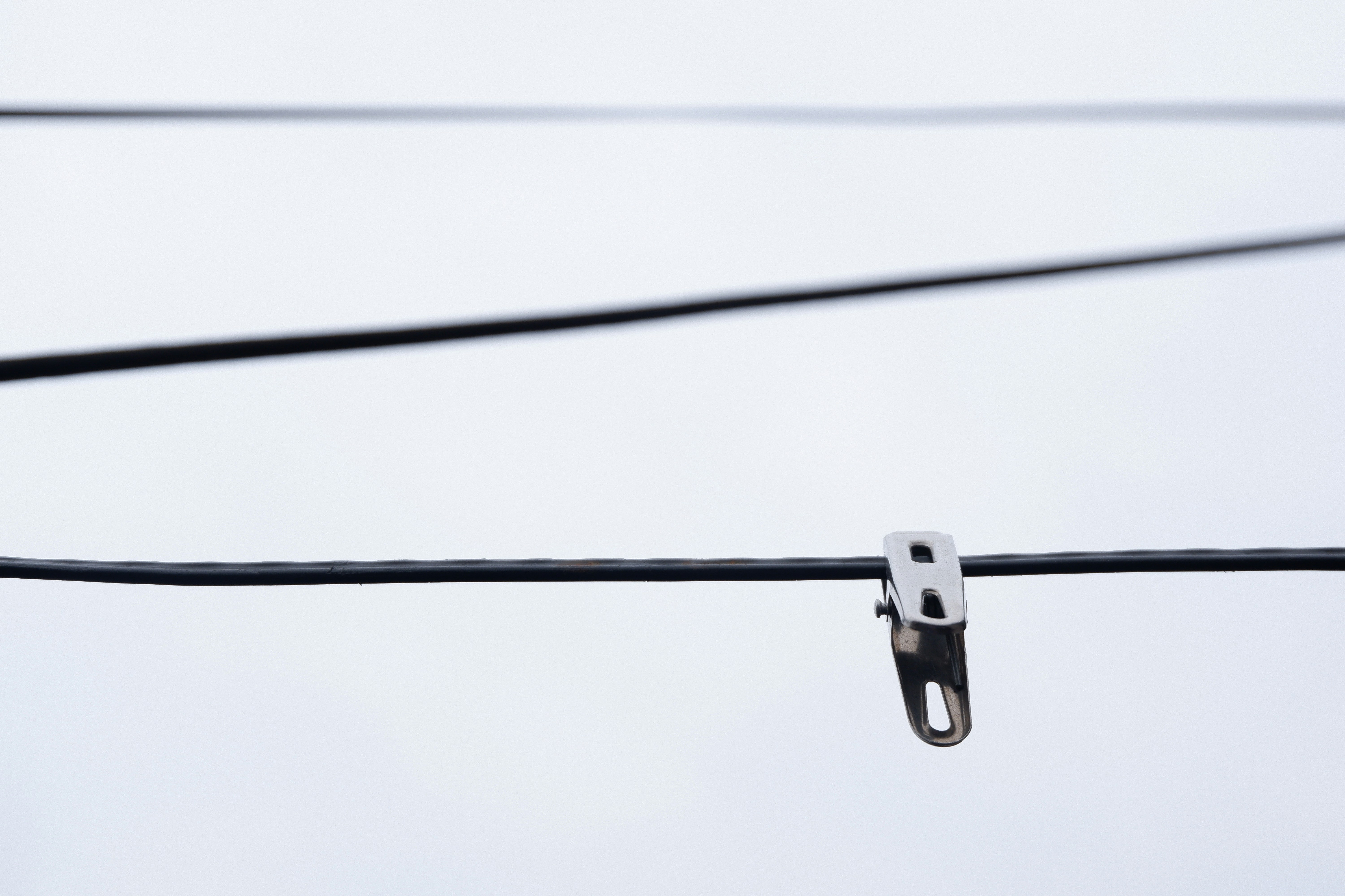 Photo by sunriseking