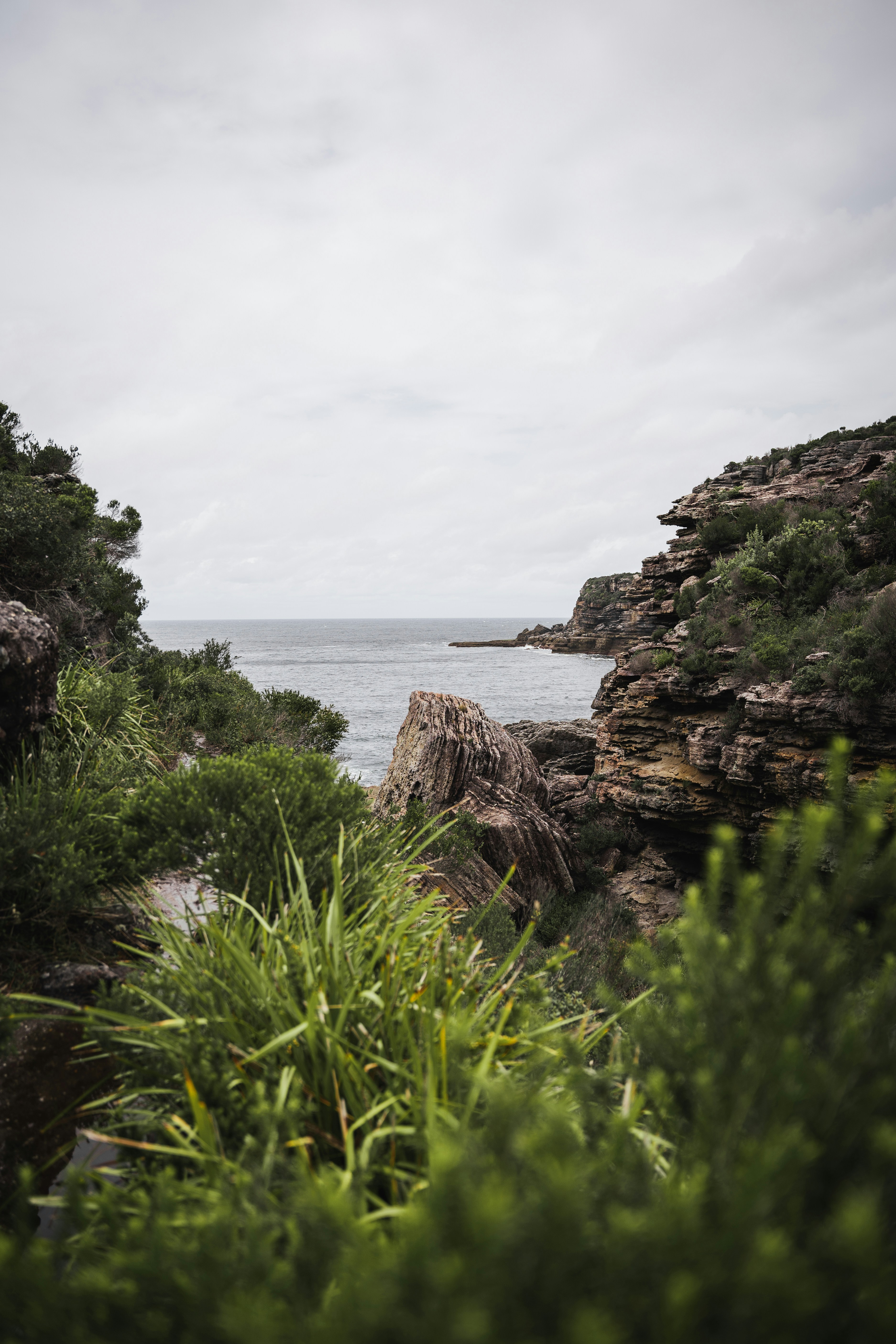 un grand plan d’eau entouré d’arbres
