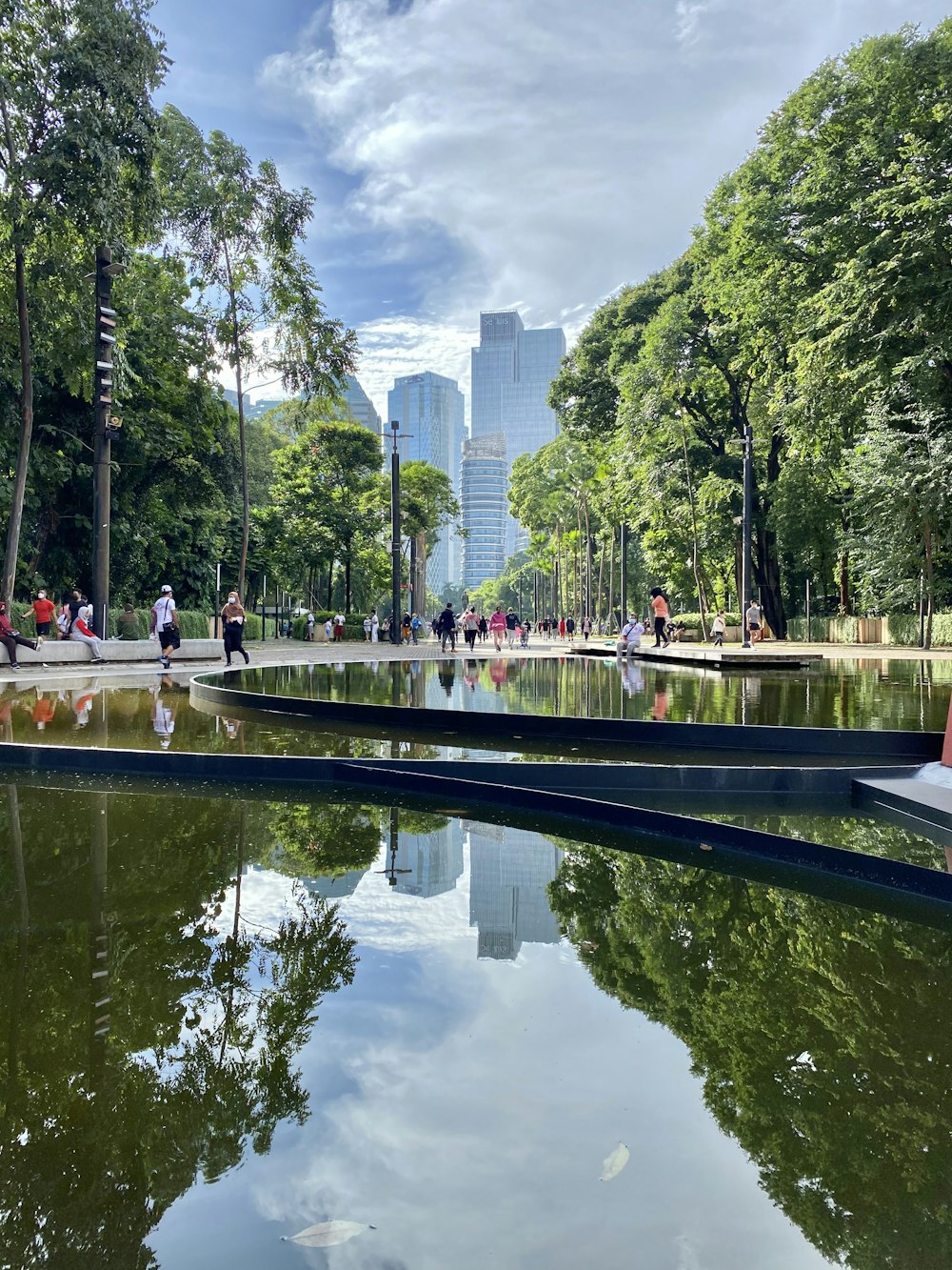 a pond in the middle of a city park