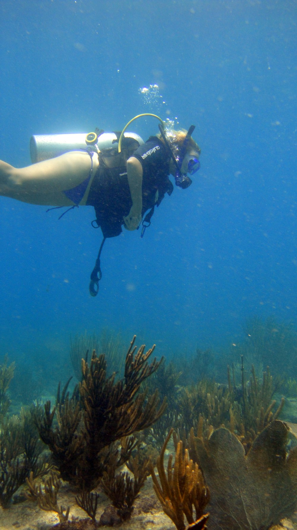 a woman scubas in the ocean with a lot of seaweed