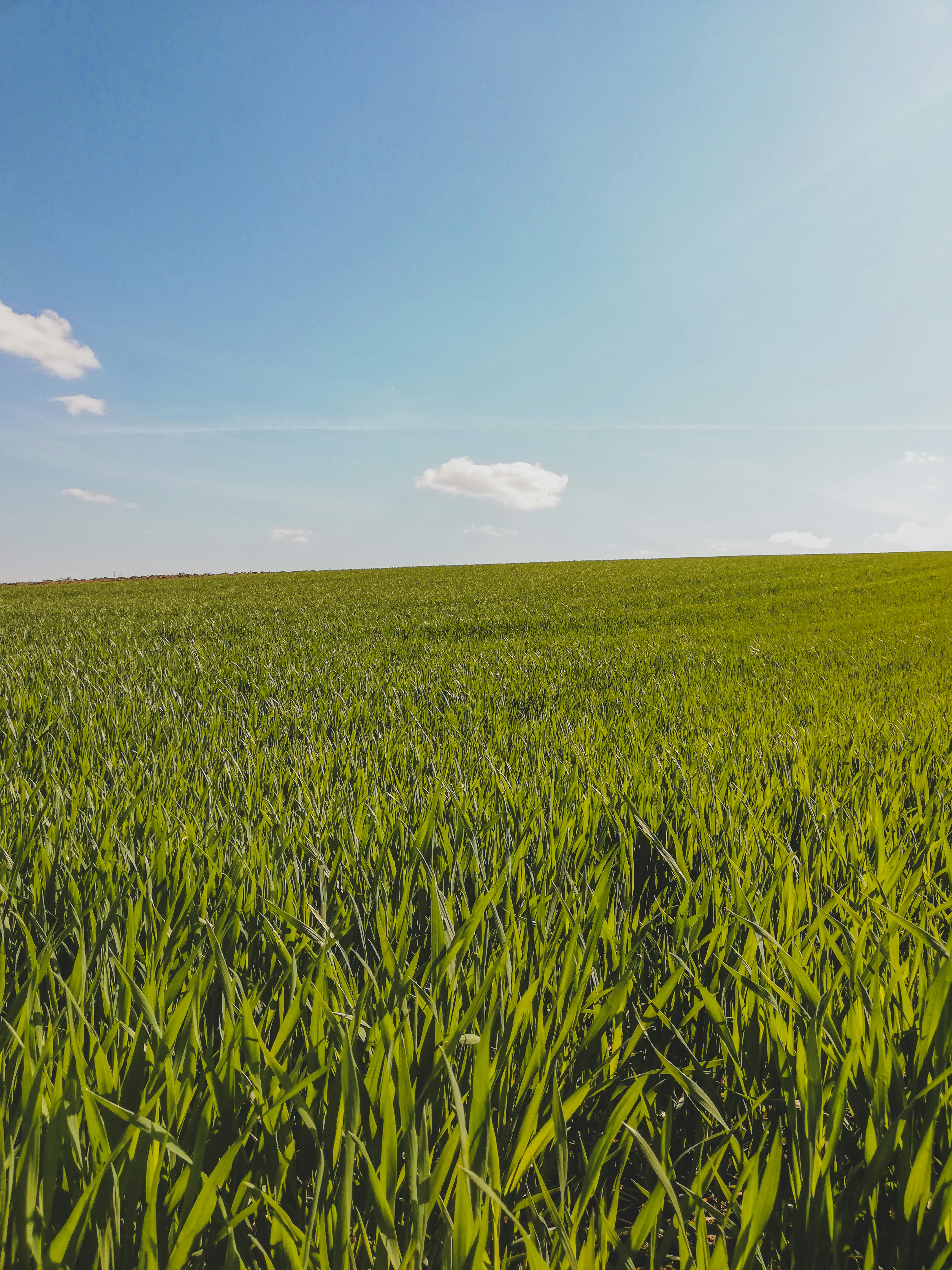 Photo by czapp_arpad