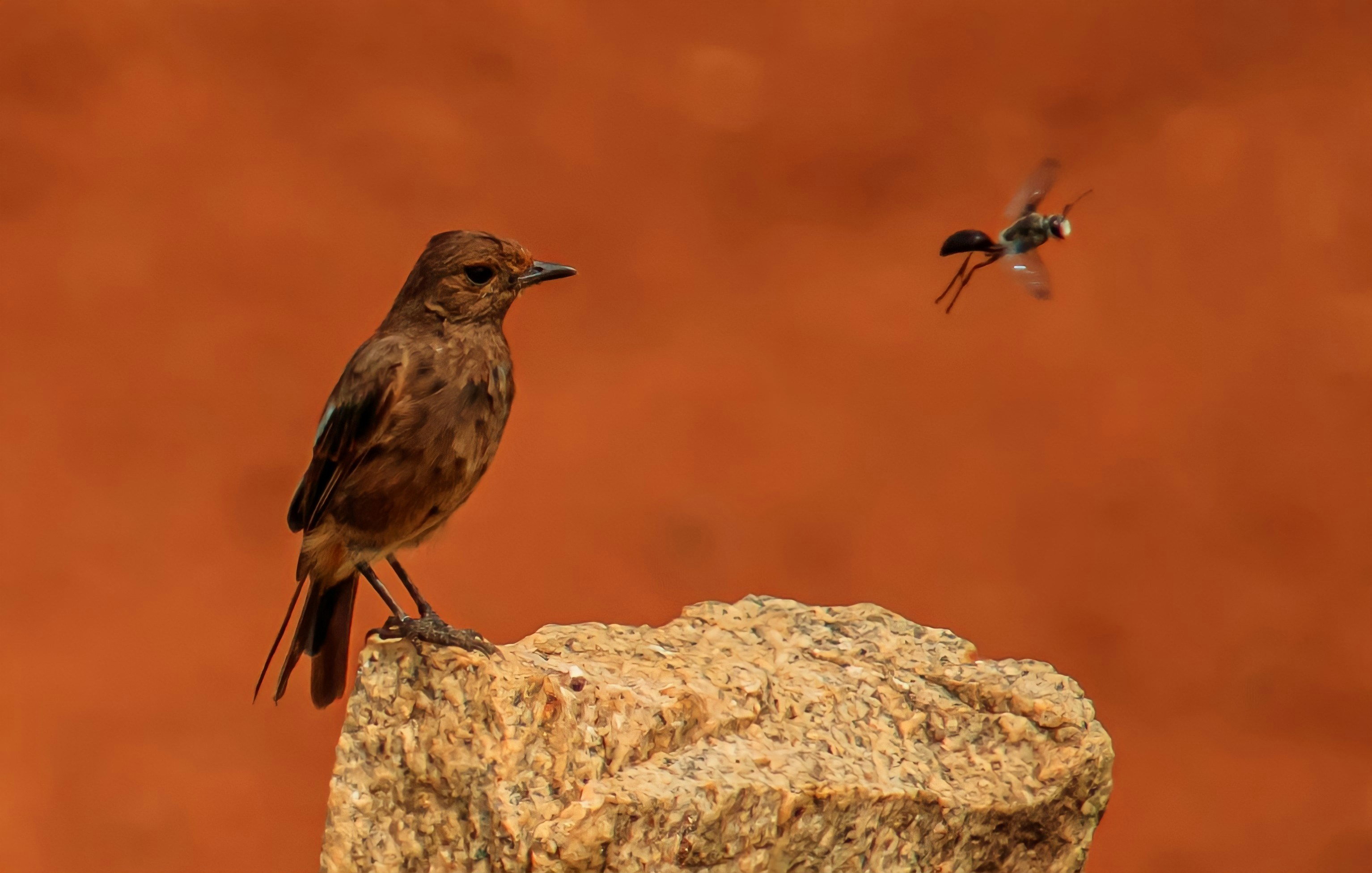 국가근로 신청 서류