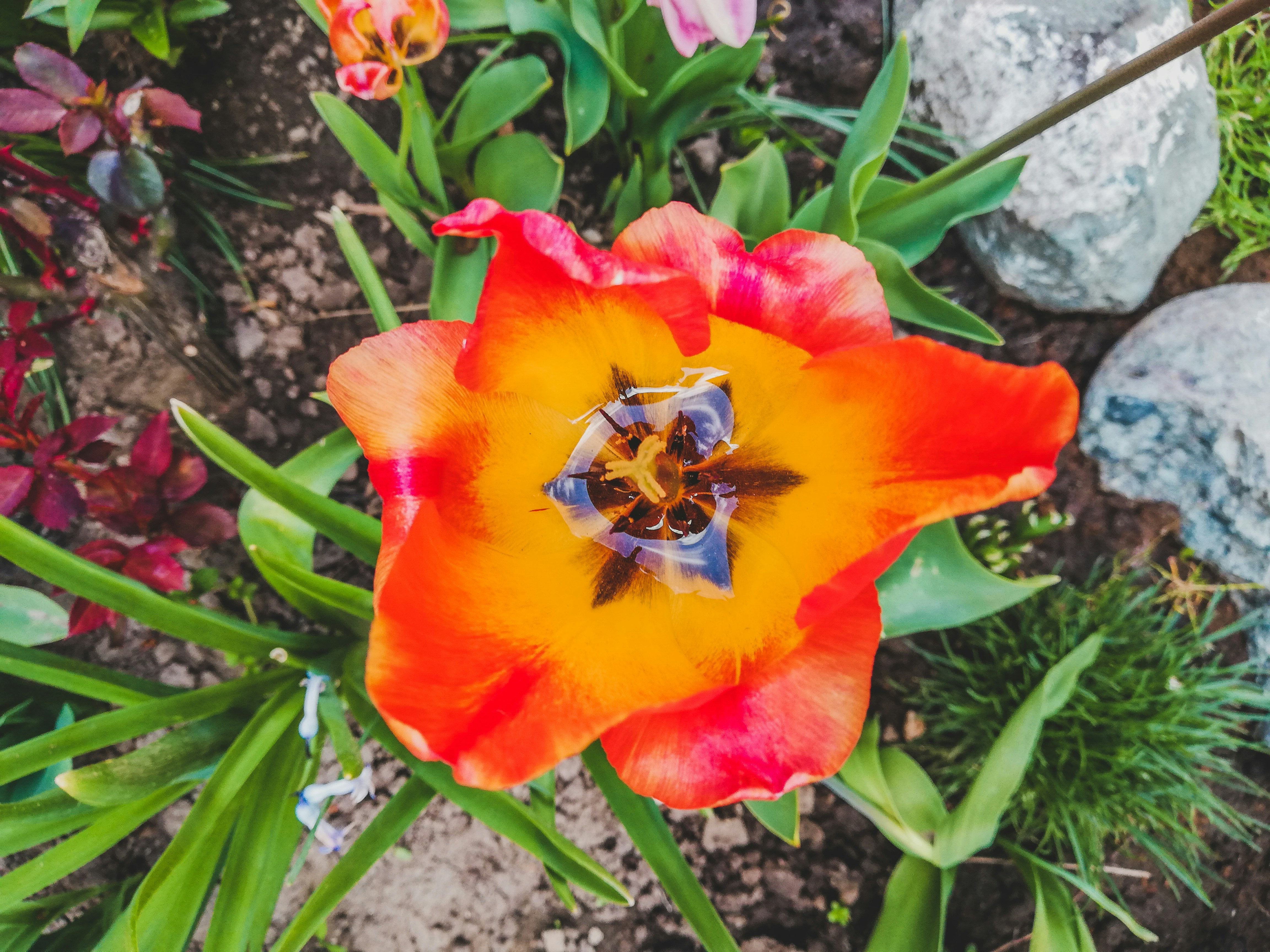 Photo by czapp_arpad