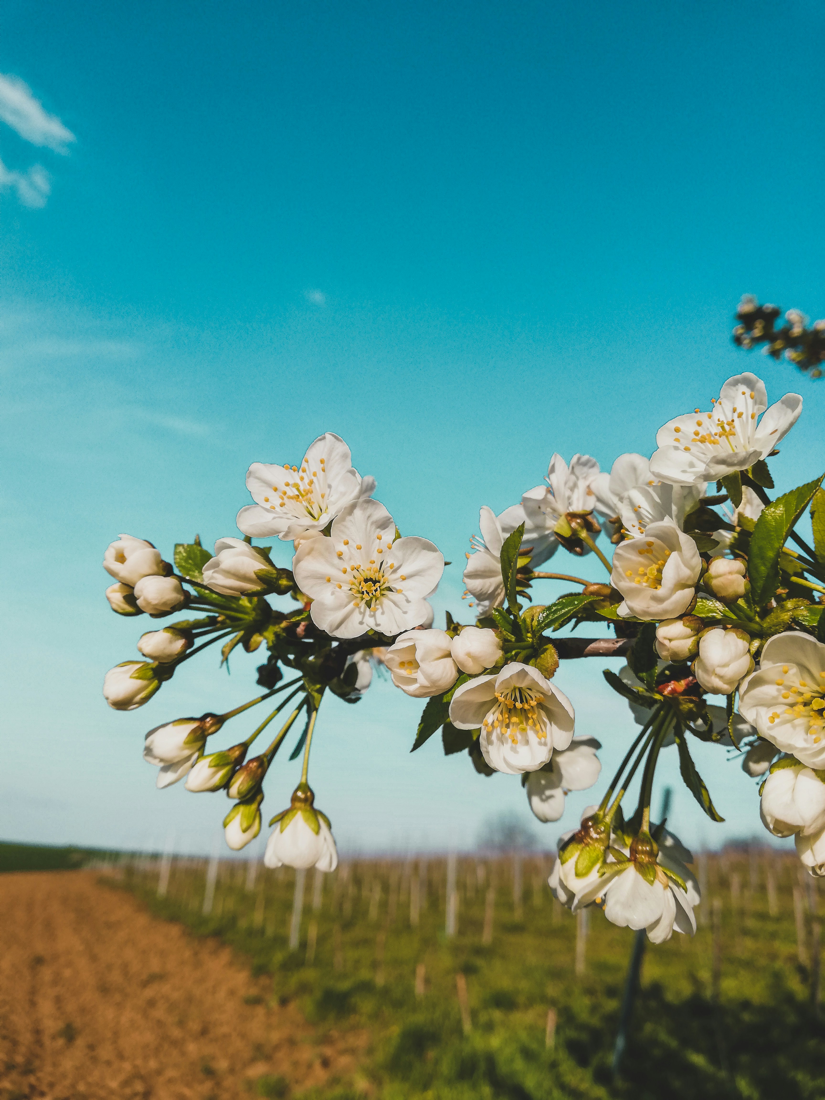 Photo by czapp_arpad