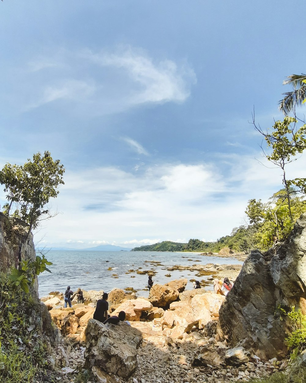 a group of people standing on top of a rocky beach