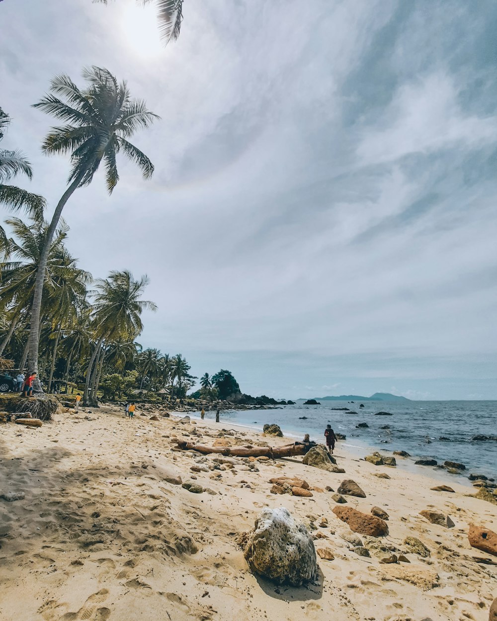 a sandy beach with palm trees and people walking on it