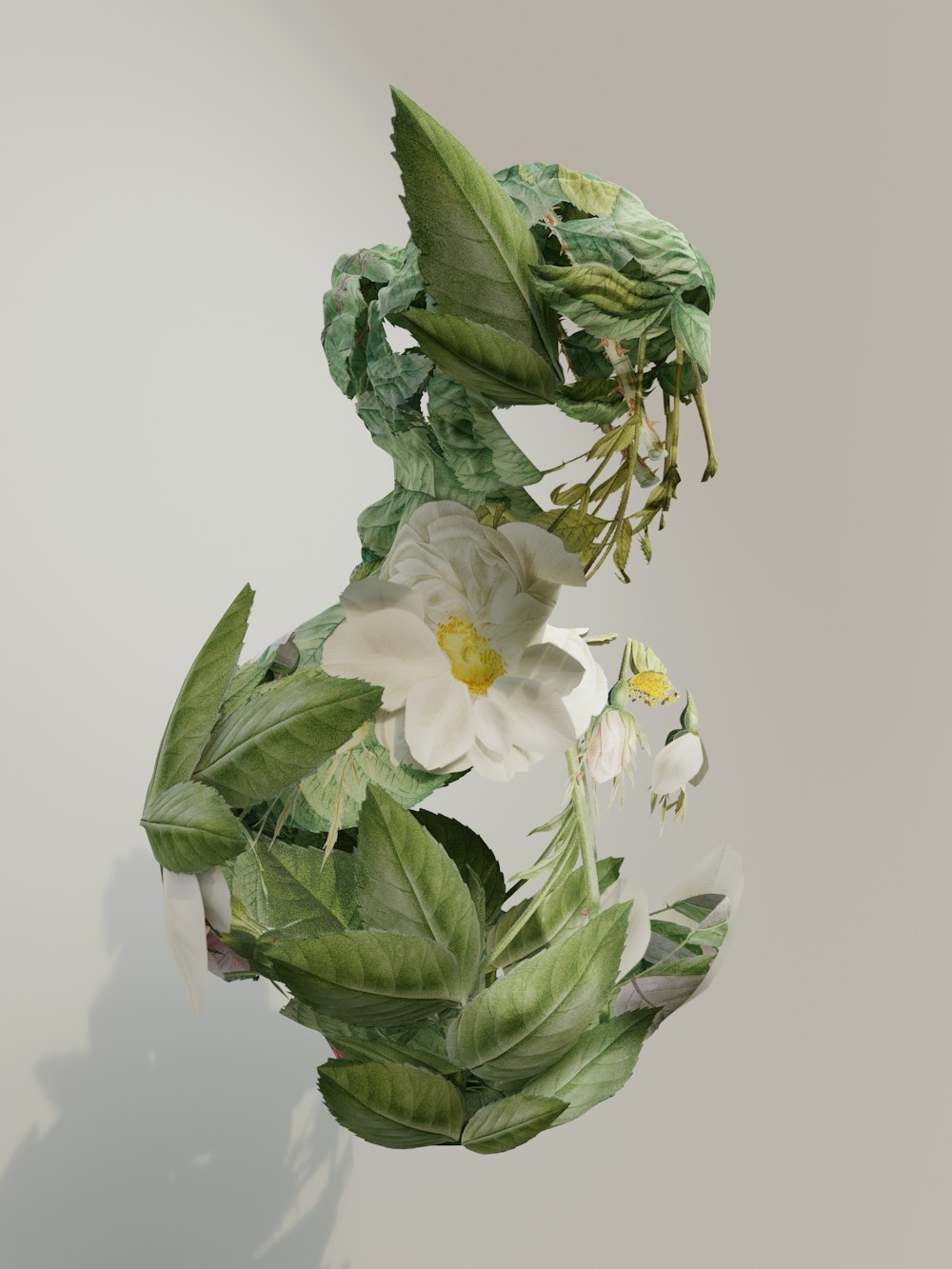 a white flower with green leaves on a white background