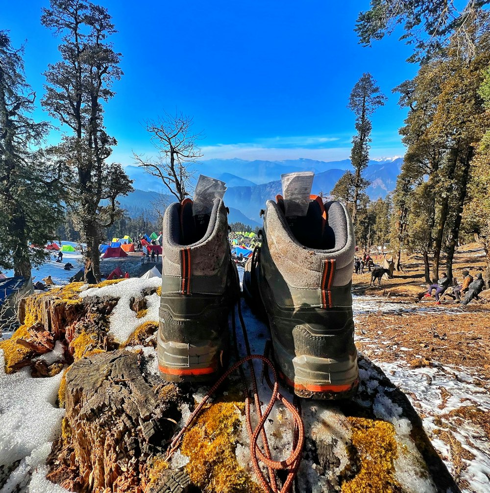 a pair of shoes sitting on top of a tree stump