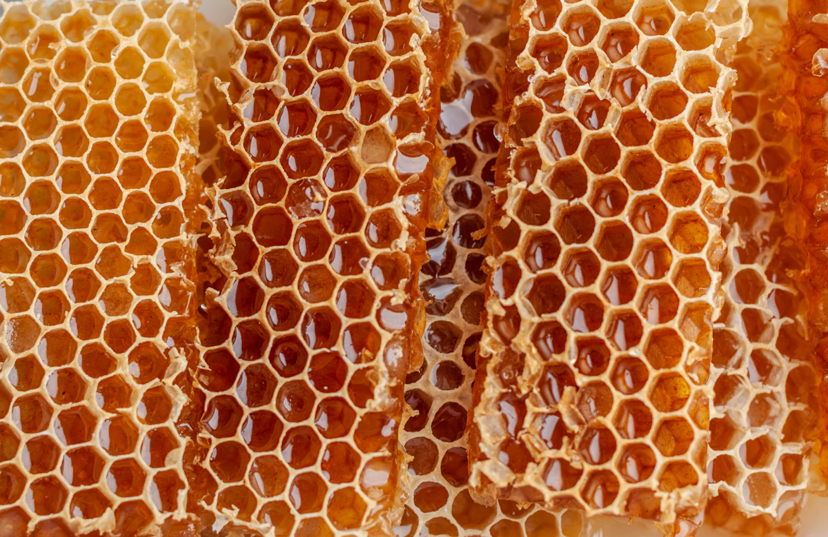 Close-up of golden honeycomb, its hexagonal cells glistening with honey.