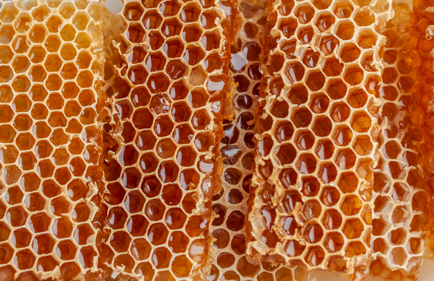 Bee venom in a moisturiser: what the ingredient is actually claimed to do, and what it isn't