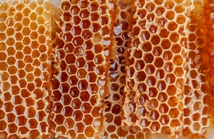 Panal de abejas