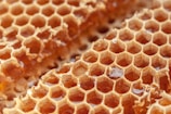 A close-up view of a honeycomb filled with golden, translucent honey. The hexagonal cells are neatly constructed, showcasing the intricate and natural architecture of bees. Some honey is spilling slightly from the cells, reflecting the light.