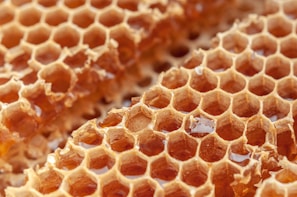 A close-up view of a honeycomb filled with golden, translucent honey. The hexagonal cells are neatly constructed, showcasing the intricate and natural architecture of bees. Some honey is spilling slightly from the cells, reflecting the light.
