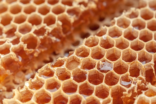 A close-up view of a honeycomb filled with golden, translucent honey. The hexagonal cells are neatly constructed, showcasing the intricate and natural architecture of bees. Some honey is spilling slightly from the cells, reflecting the light.
