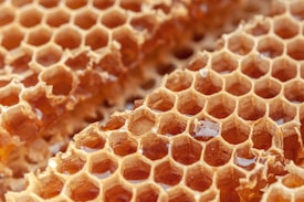 A close-up view of a honeycomb filled with golden, translucent honey. The hexagonal cells are neatly constructed, showcasing the intricate and natural architecture of bees. Some honey is spilling slightly from the cells, reflecting the light.