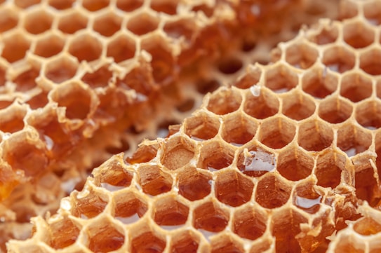 A close-up view of a honeycomb filled with golden, translucent honey. The hexagonal cells are neatly constructed, showcasing the intricate and natural architecture of bees. Some honey is spilling slightly from the cells, reflecting the light.