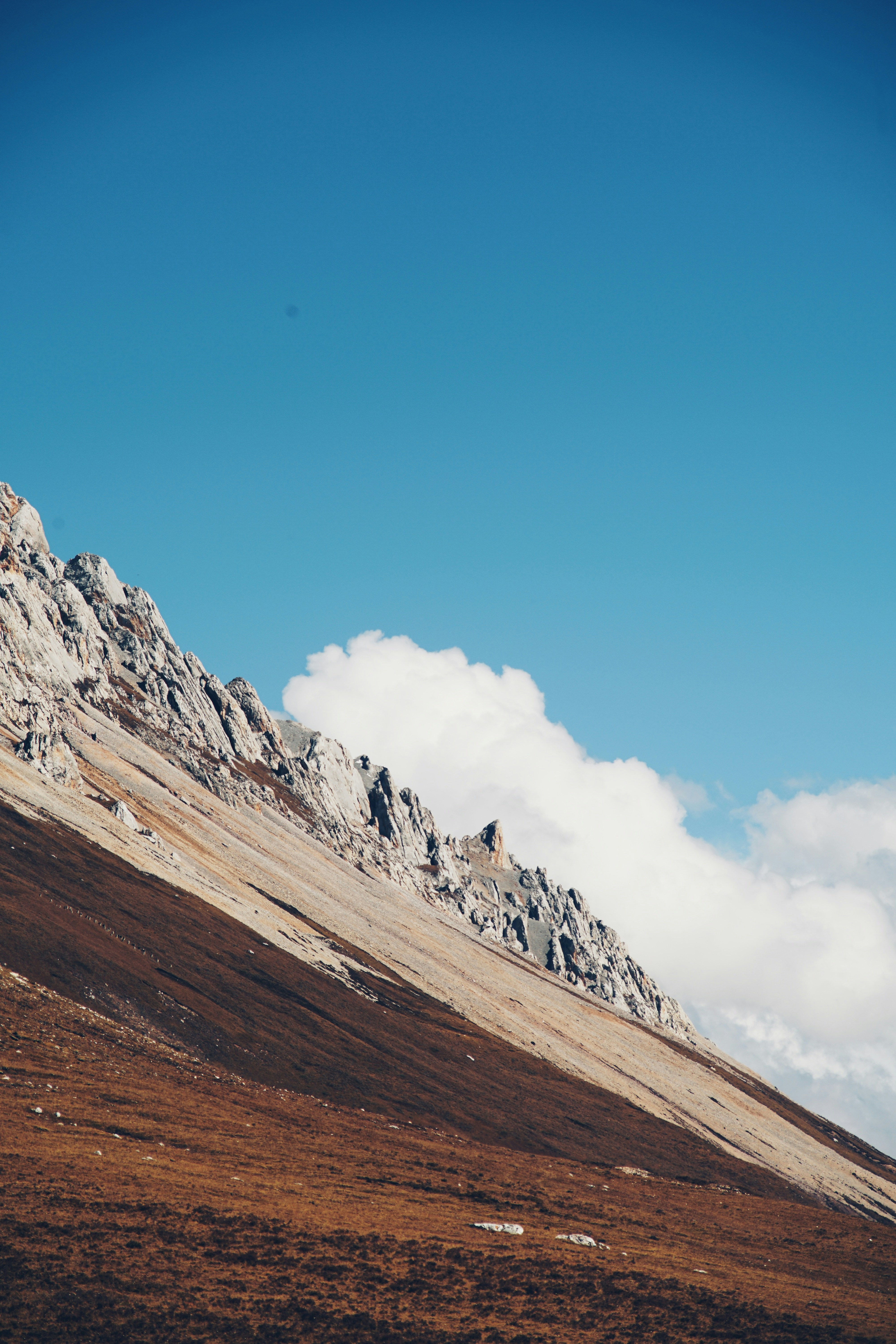 Photo by judahwester