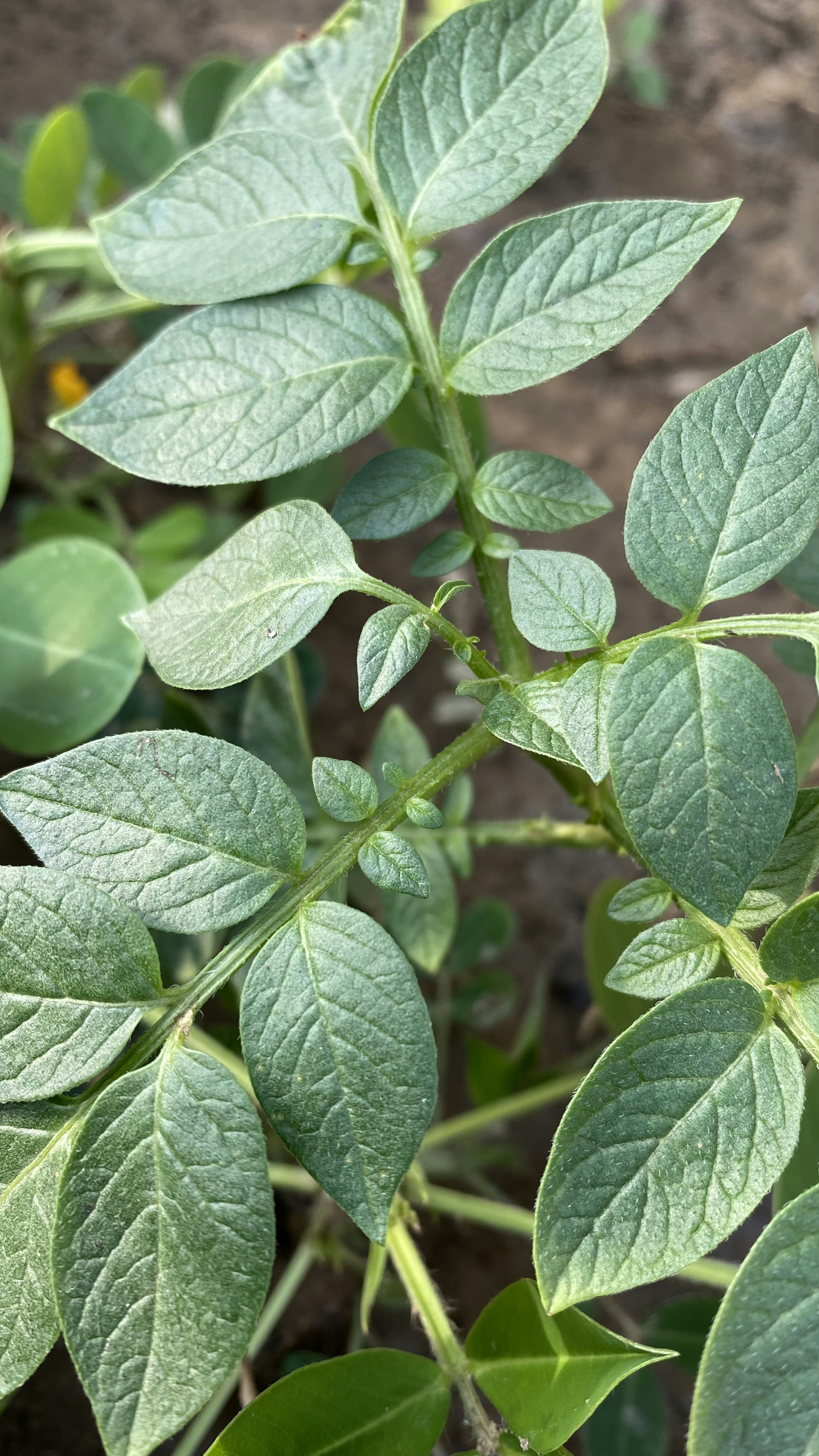 Photo by arunkumar28