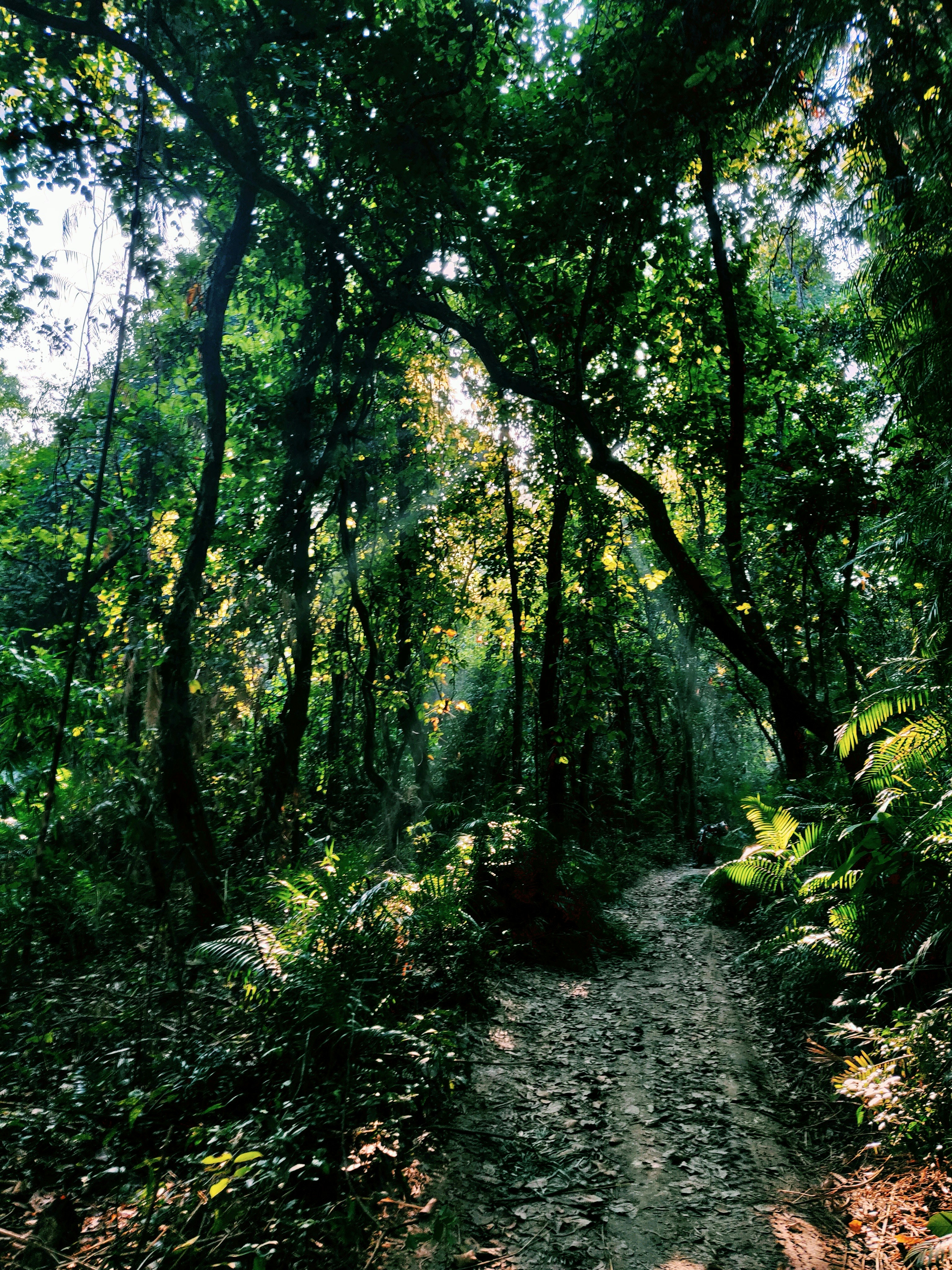 Photo by ashiqul7237