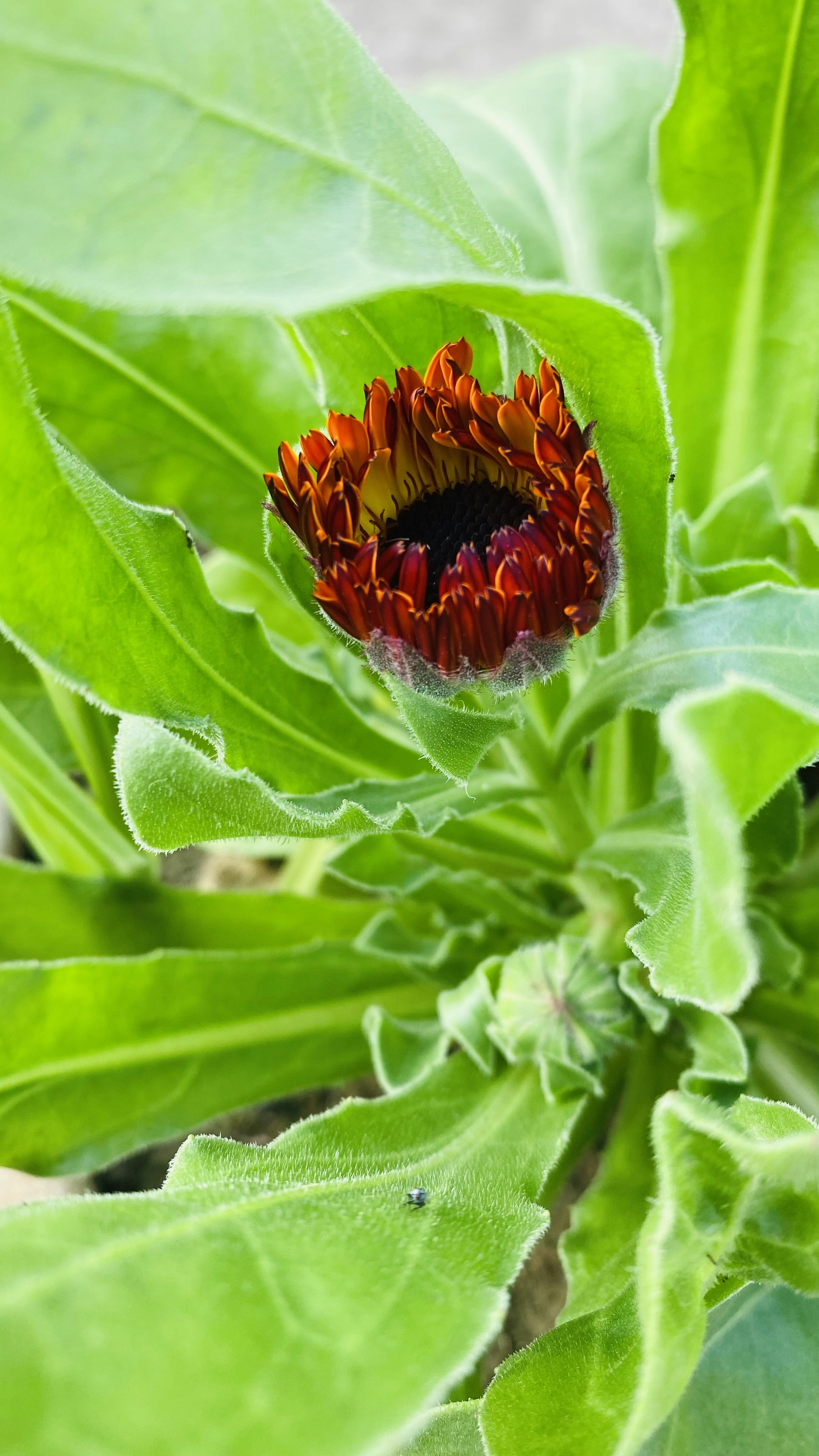 Photo by arunkumar28