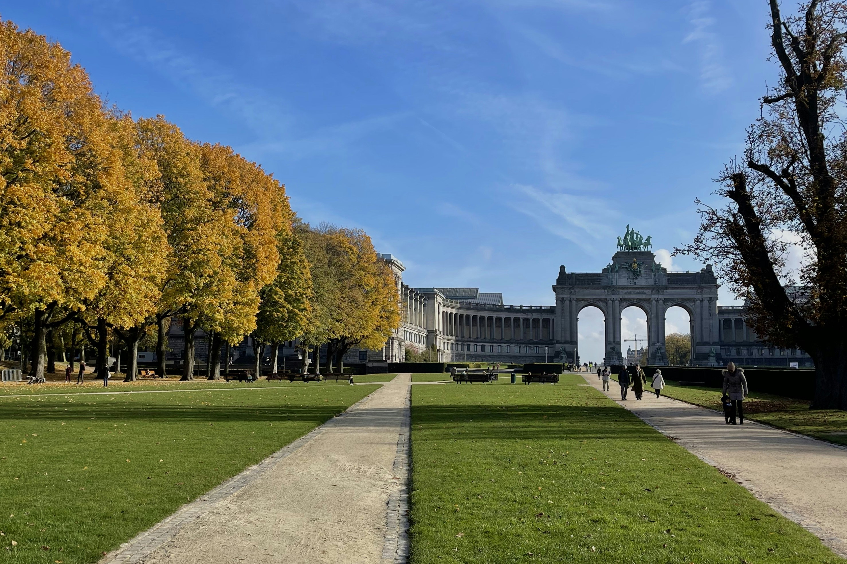 trip gallery picture