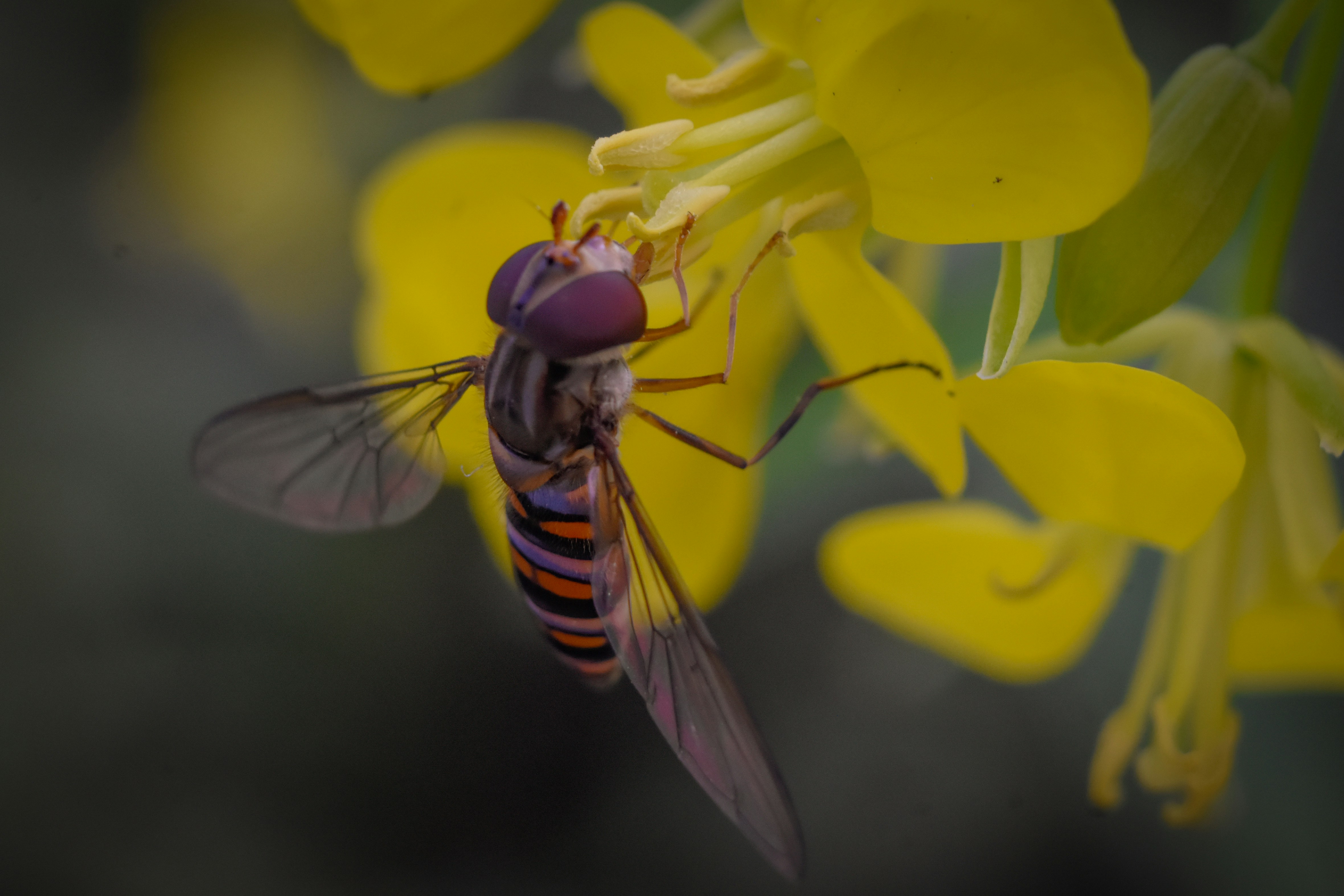 Photo by abhinav_arya