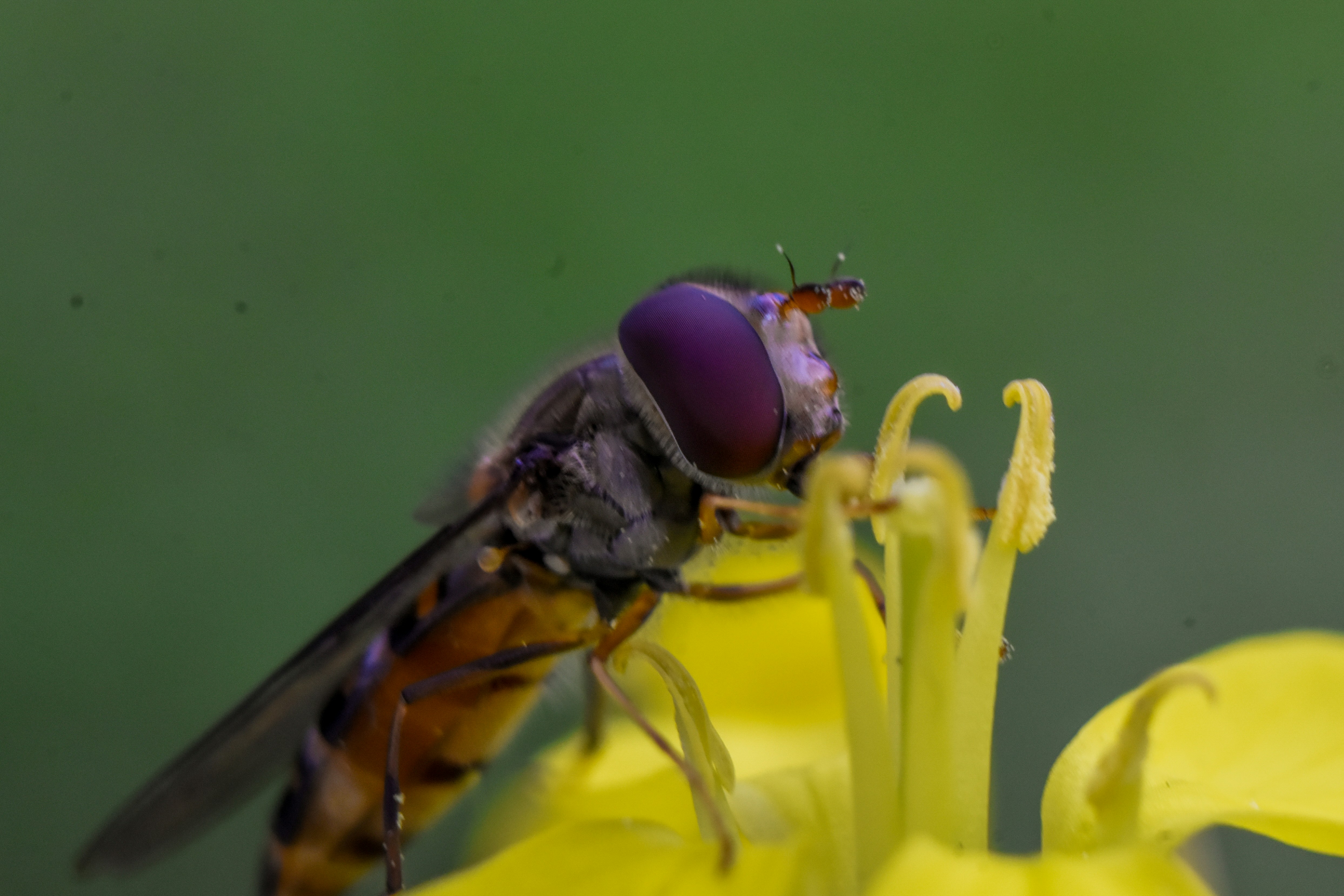 Photo by abhinav_arya