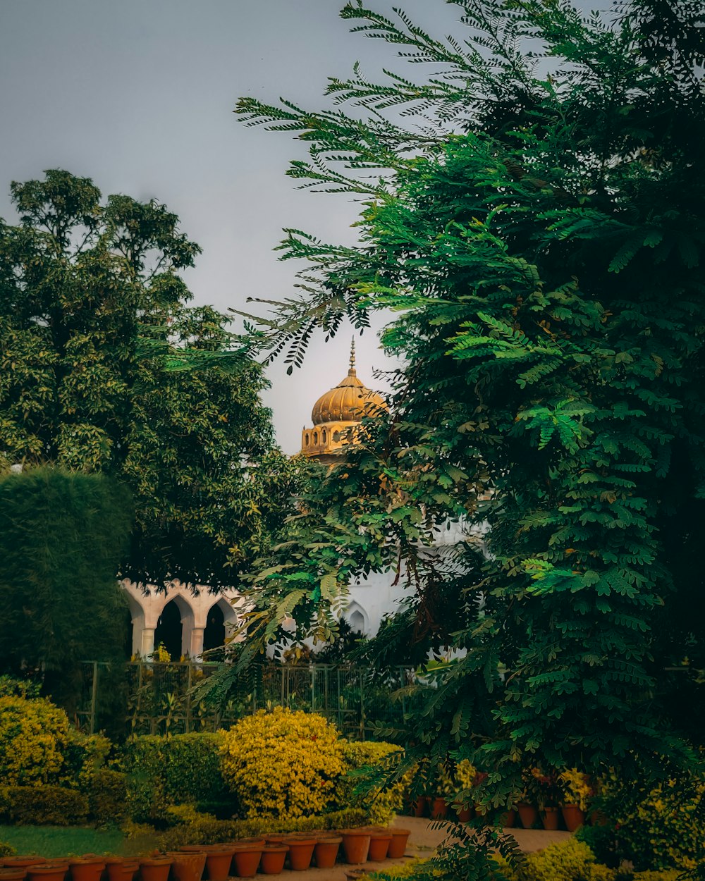 a view of a building through some trees