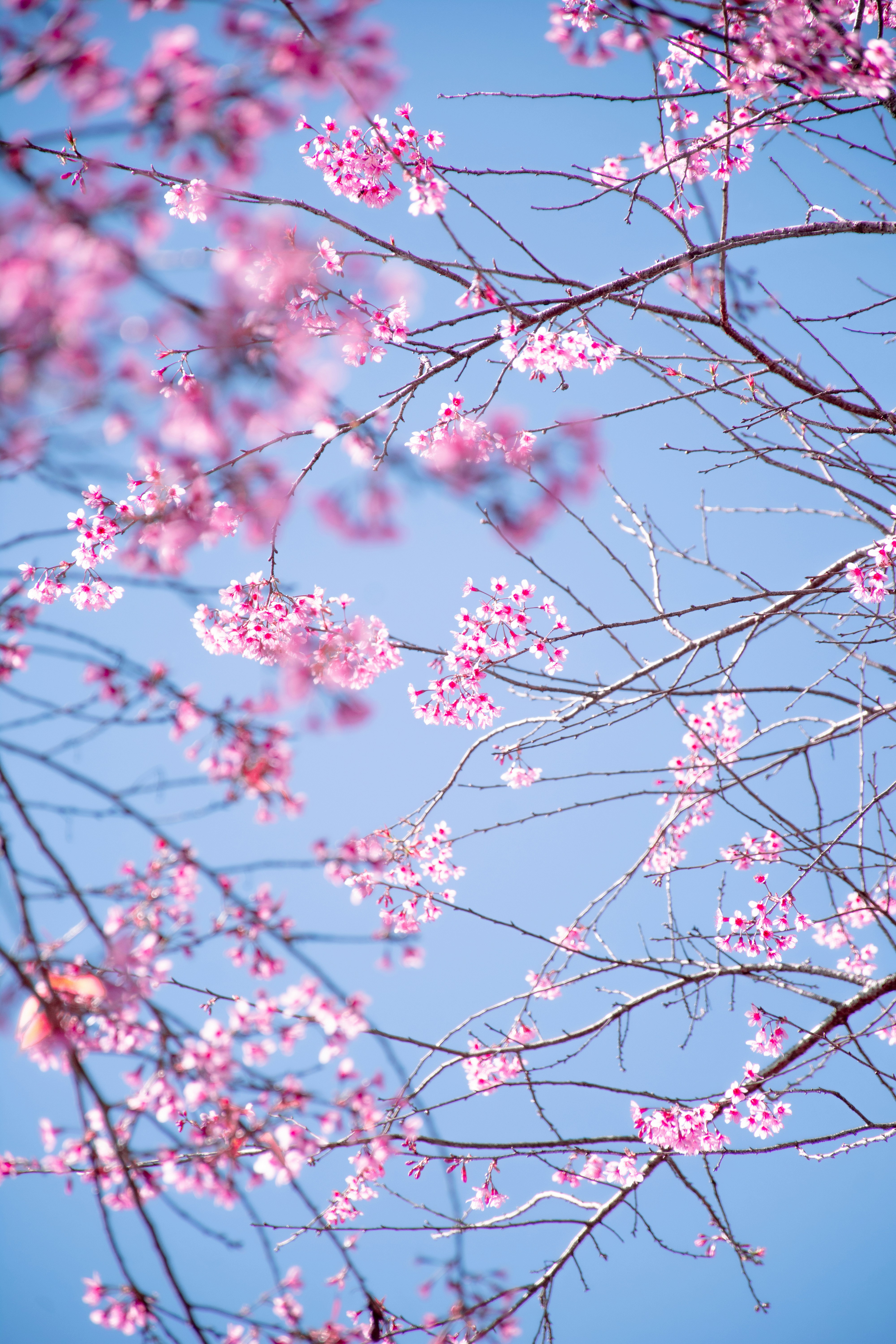 Photo by therapist_photo